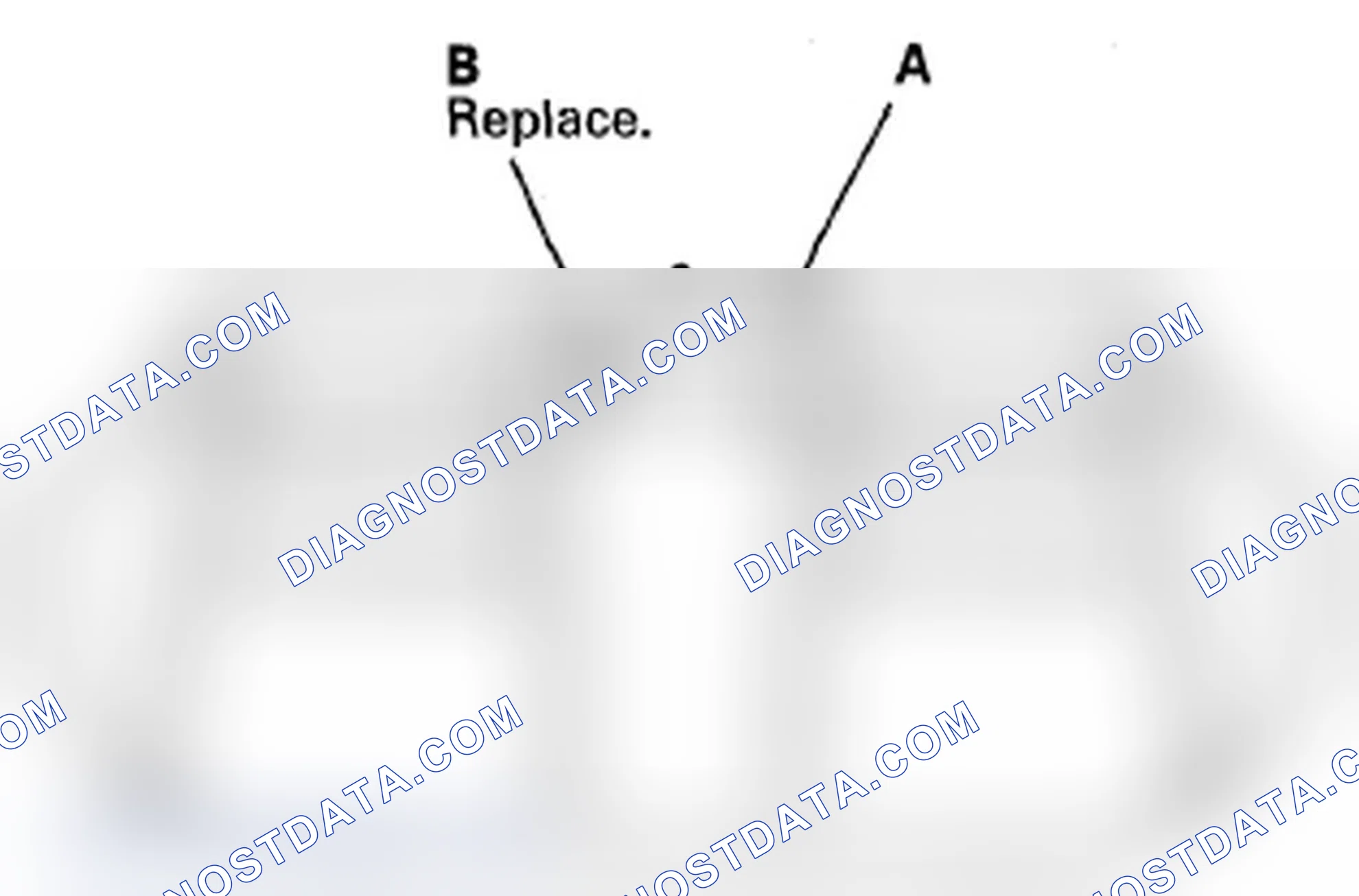 Scheme 339