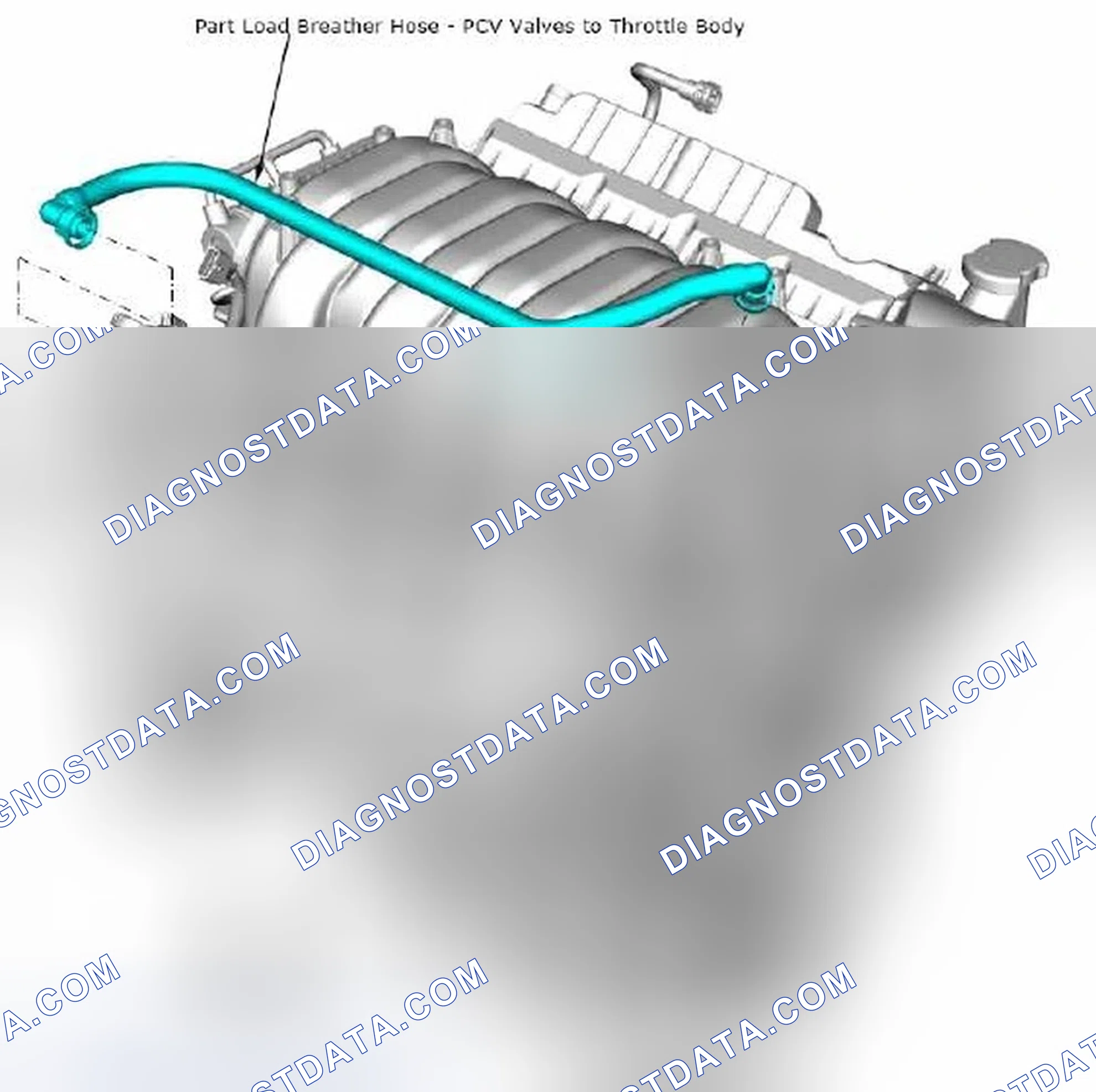 Scheme 124: 4.7.2 PCV Valve Location and Hose Layout for the Naturally Aspirated Engine