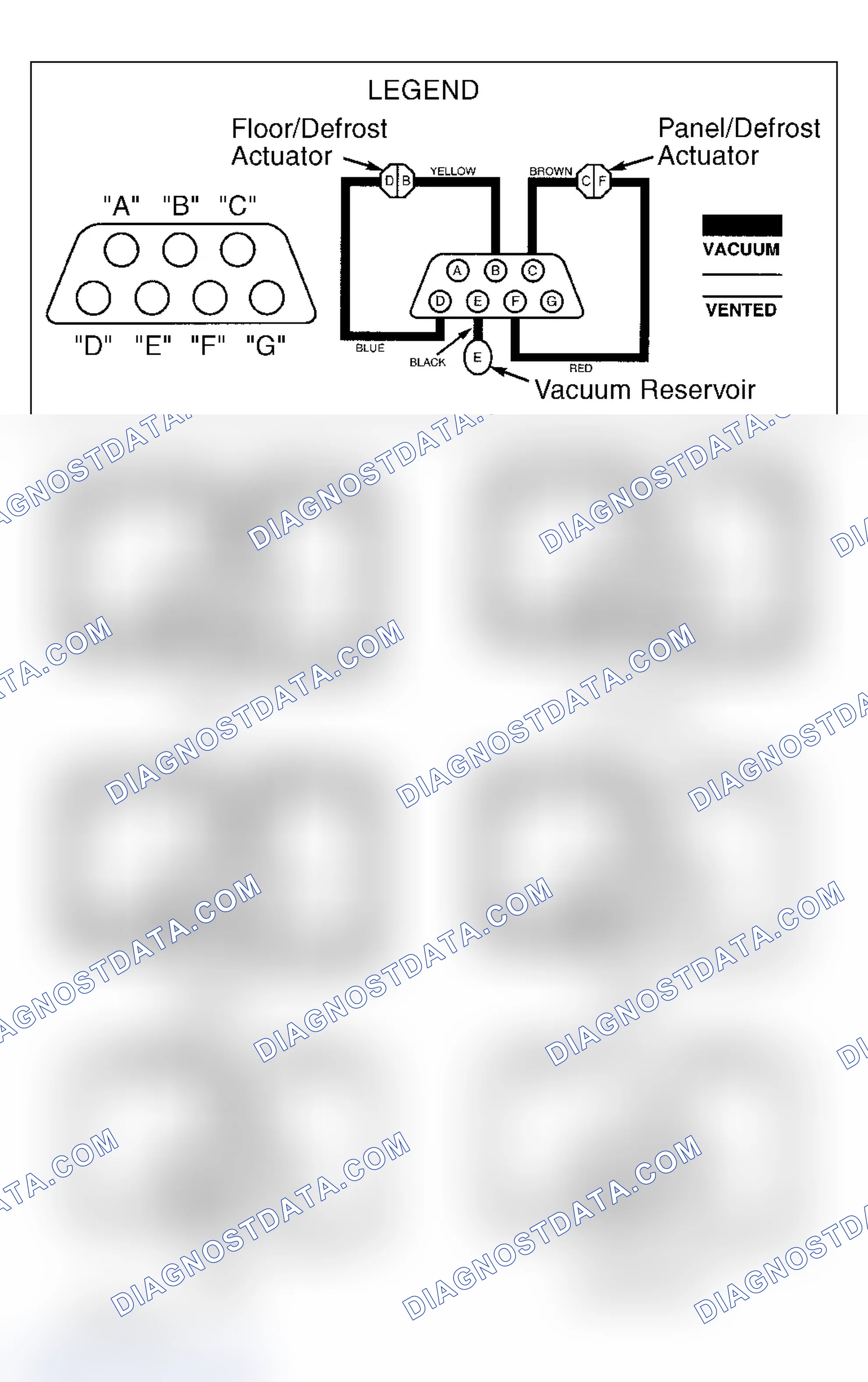Scheme 1: VACUUM HOSE DIAGRAM(S)