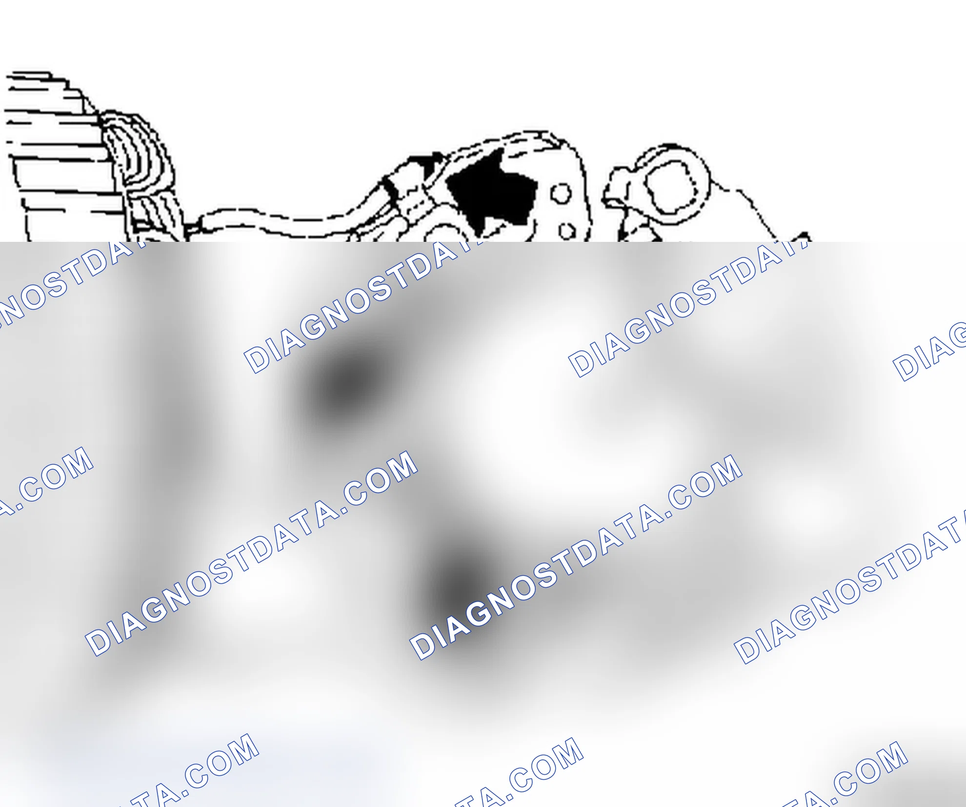 Alternator, Disassemble