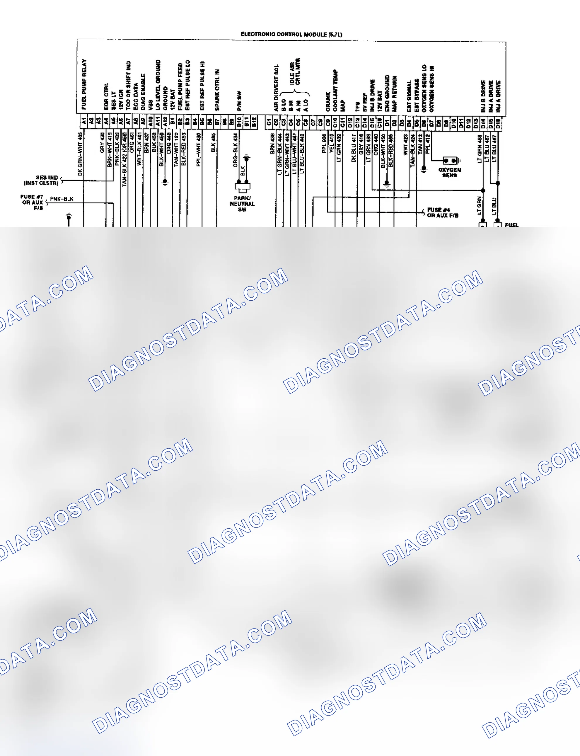 Scheme 21: "P" Series TBI/CCC Wiring Diagram