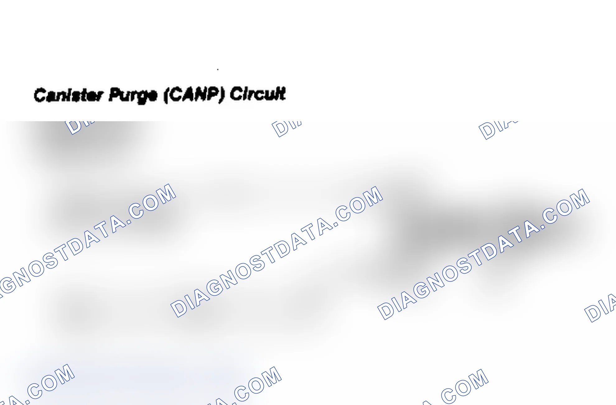 Scheme 57: Canister Purge (CANP) Circuit