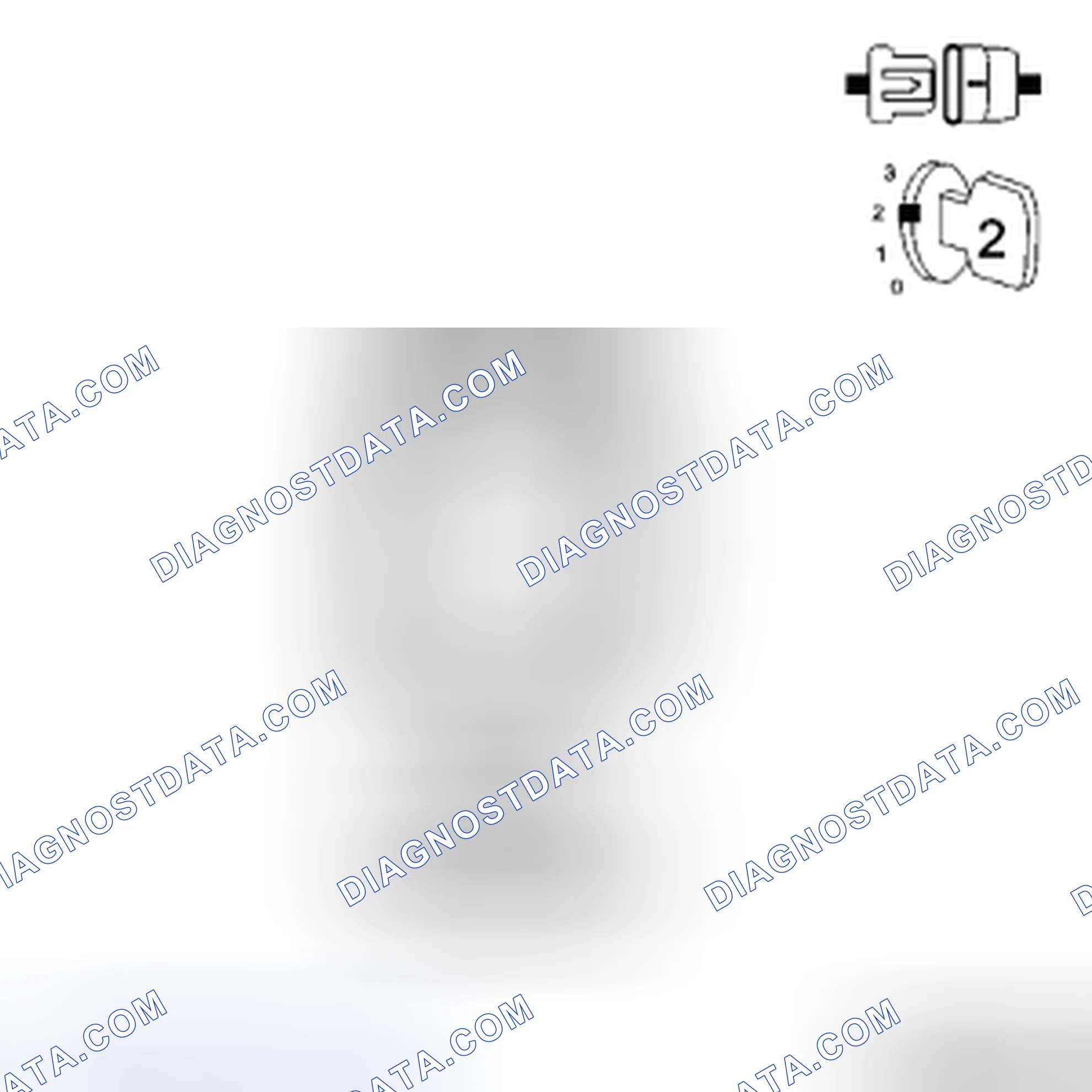 Scheme 13: Diagnostic Test