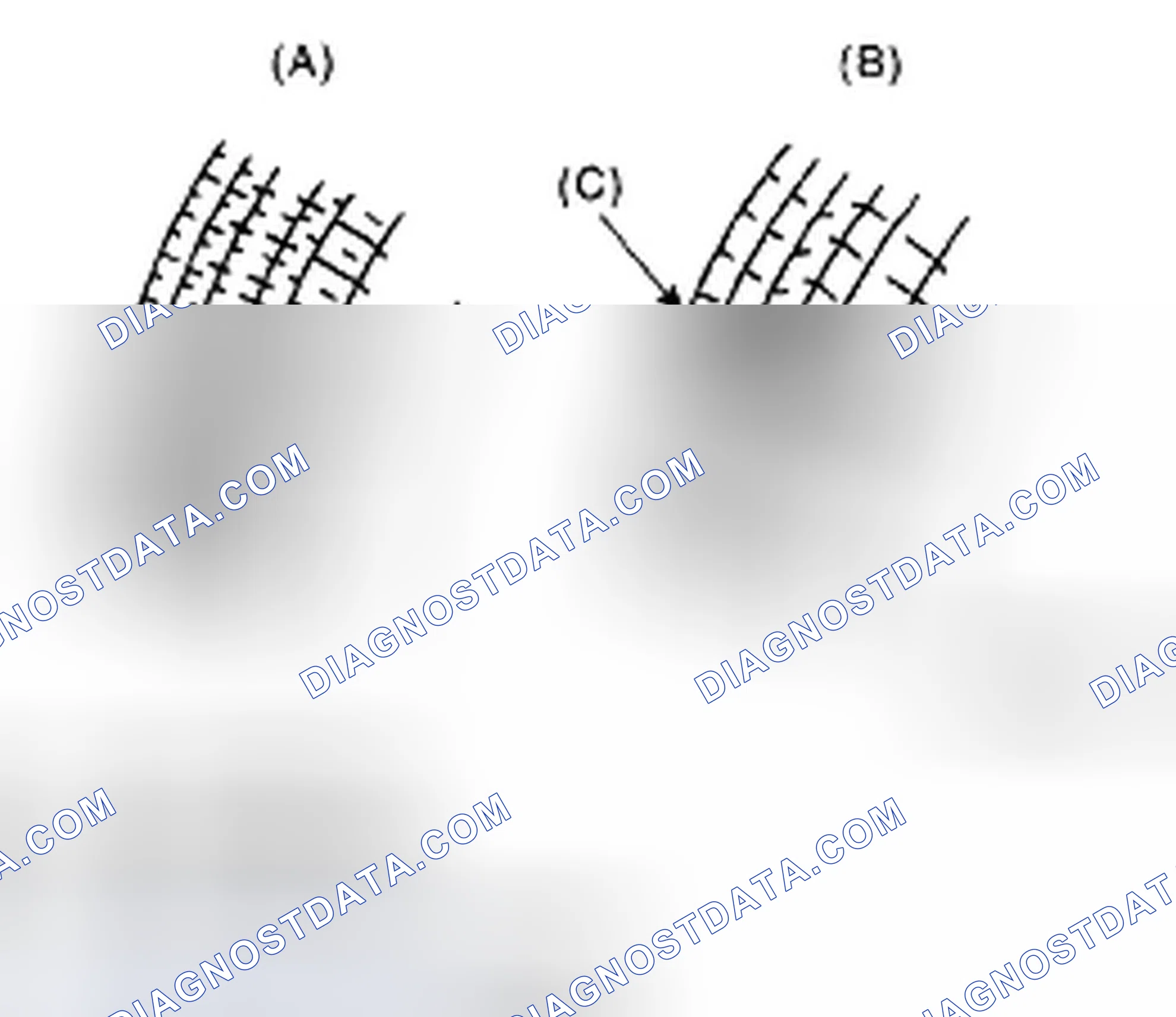 Scheme 21: Identifying Tread Wear Indicator