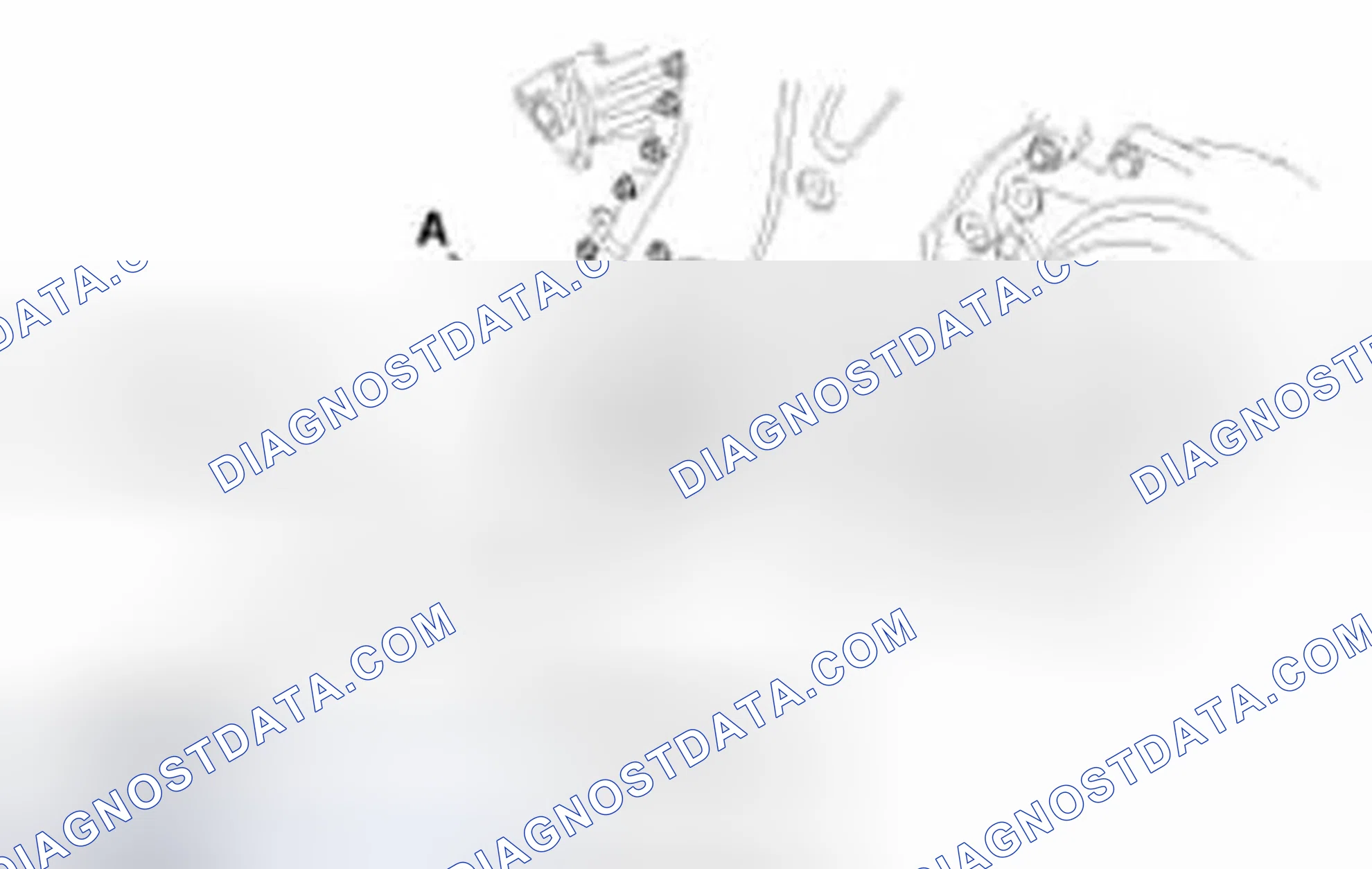 Scheme 145