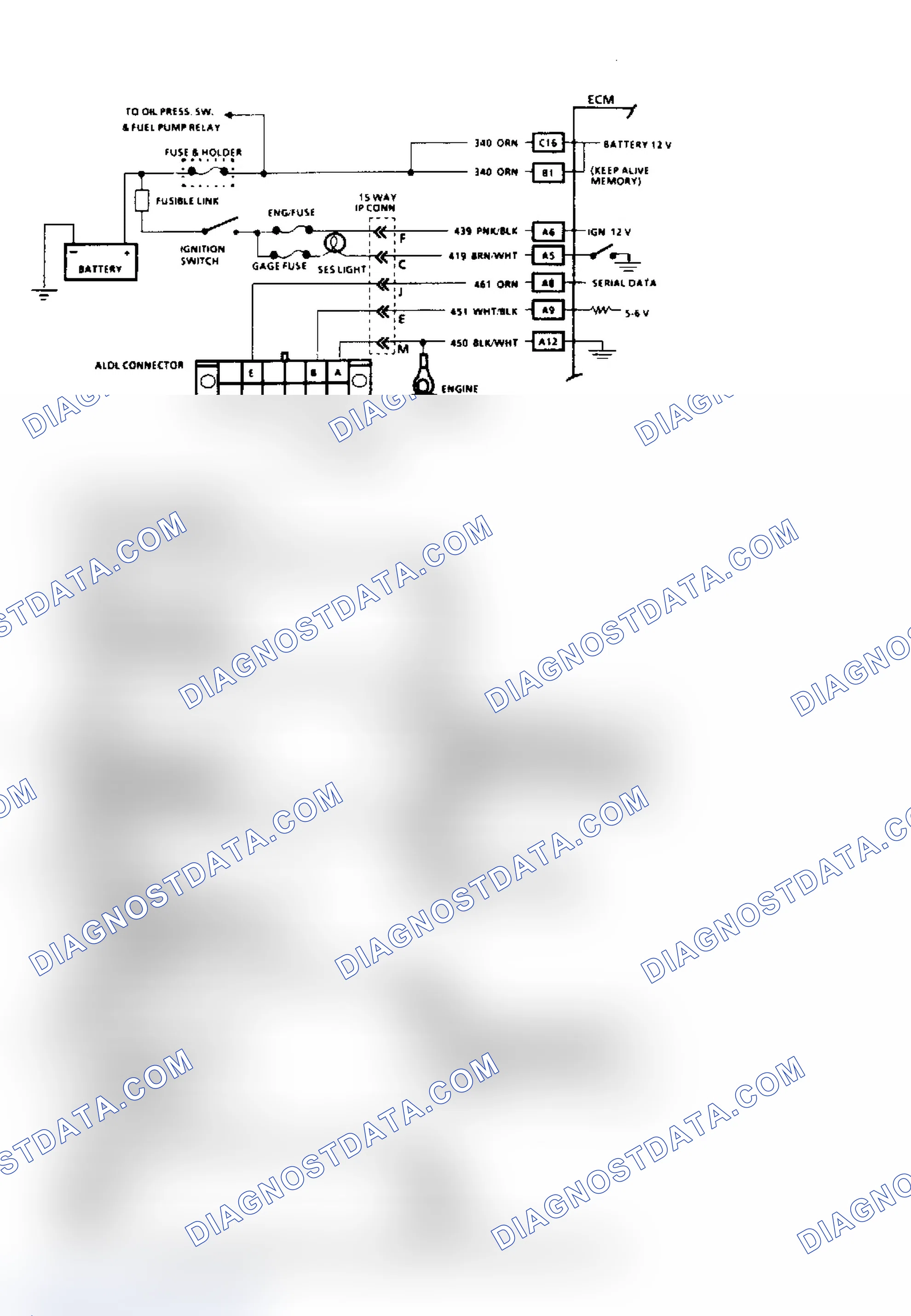 Scheme 247: Flow Chart A2 & Schematic ("F" & "Y" Bodies)