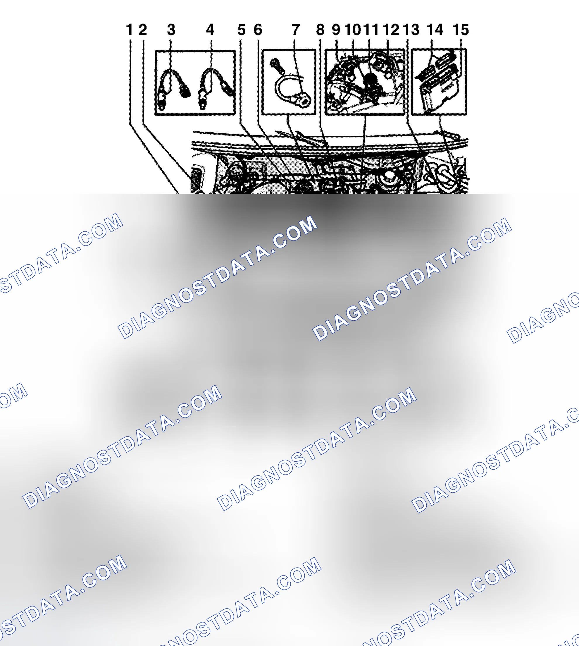 Scheme 5