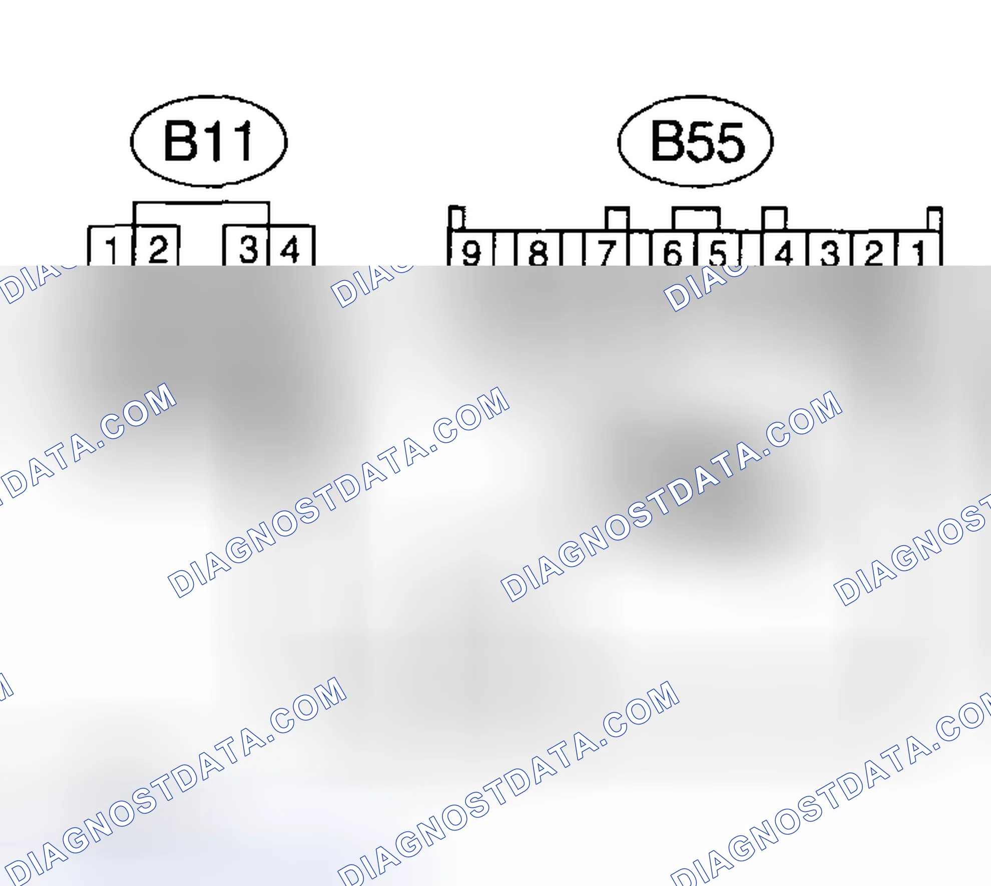 Scheme 419: Diagnostic Procedure