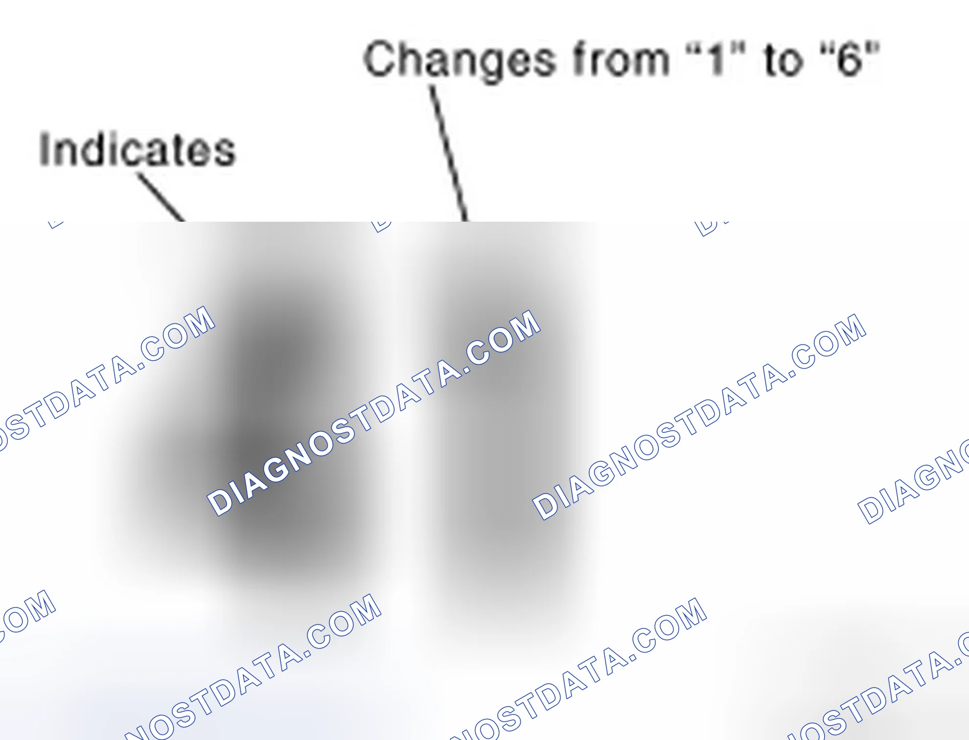 Scheme 12