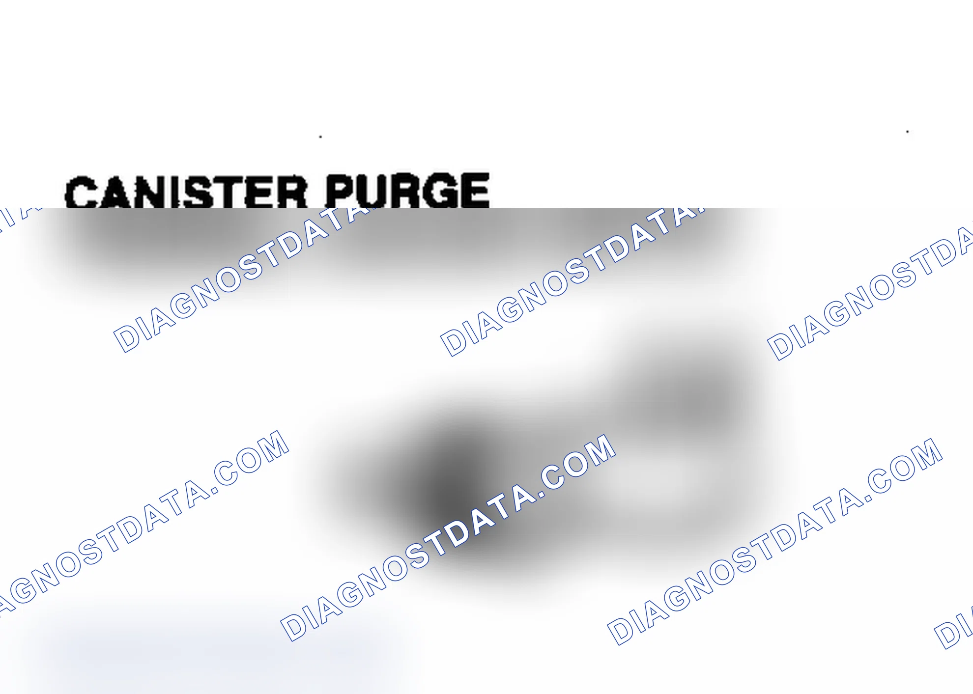 Scheme 1: CANISTER PURGE THERMAL VACUUM SWITCH