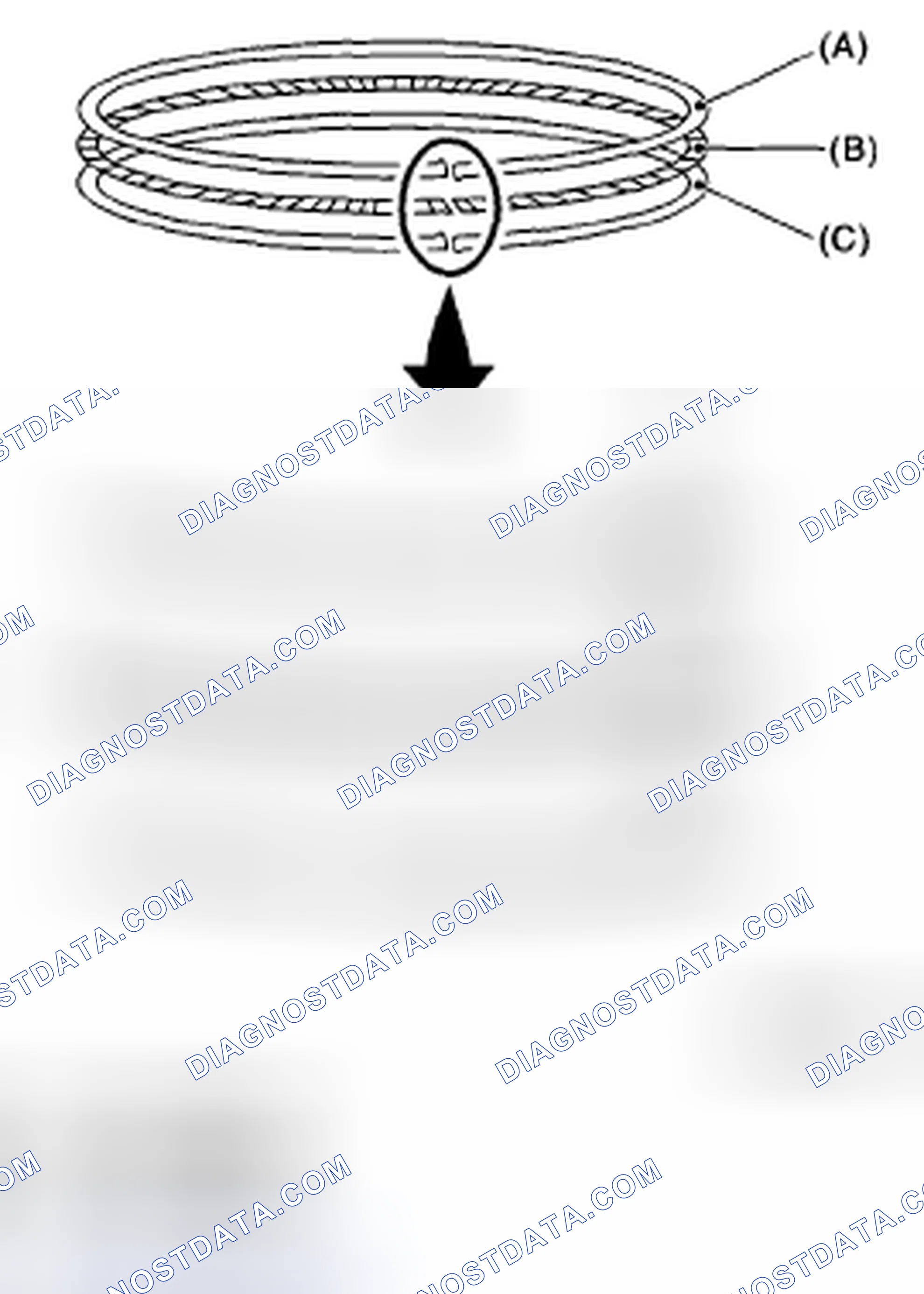 Scheme 231: PISTON RING