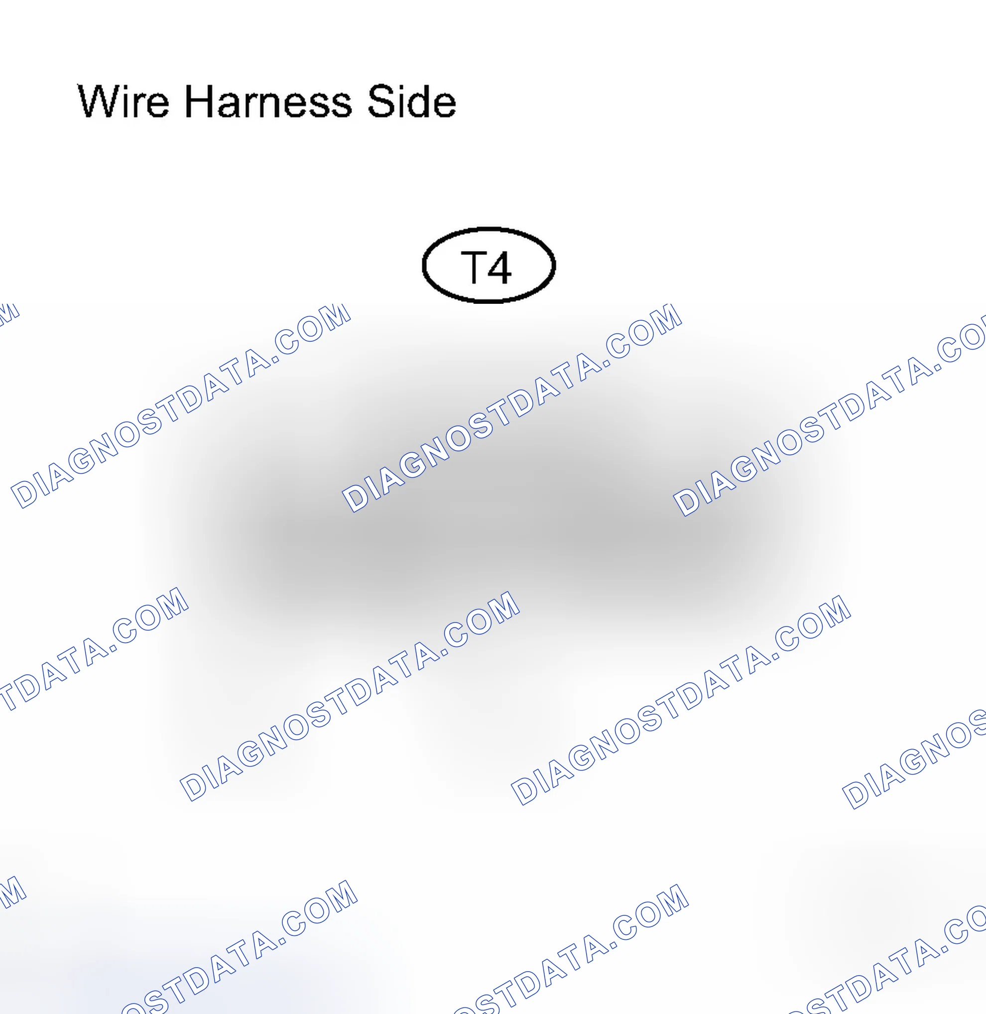 Scheme 115: INSPECTION PROCEDURE