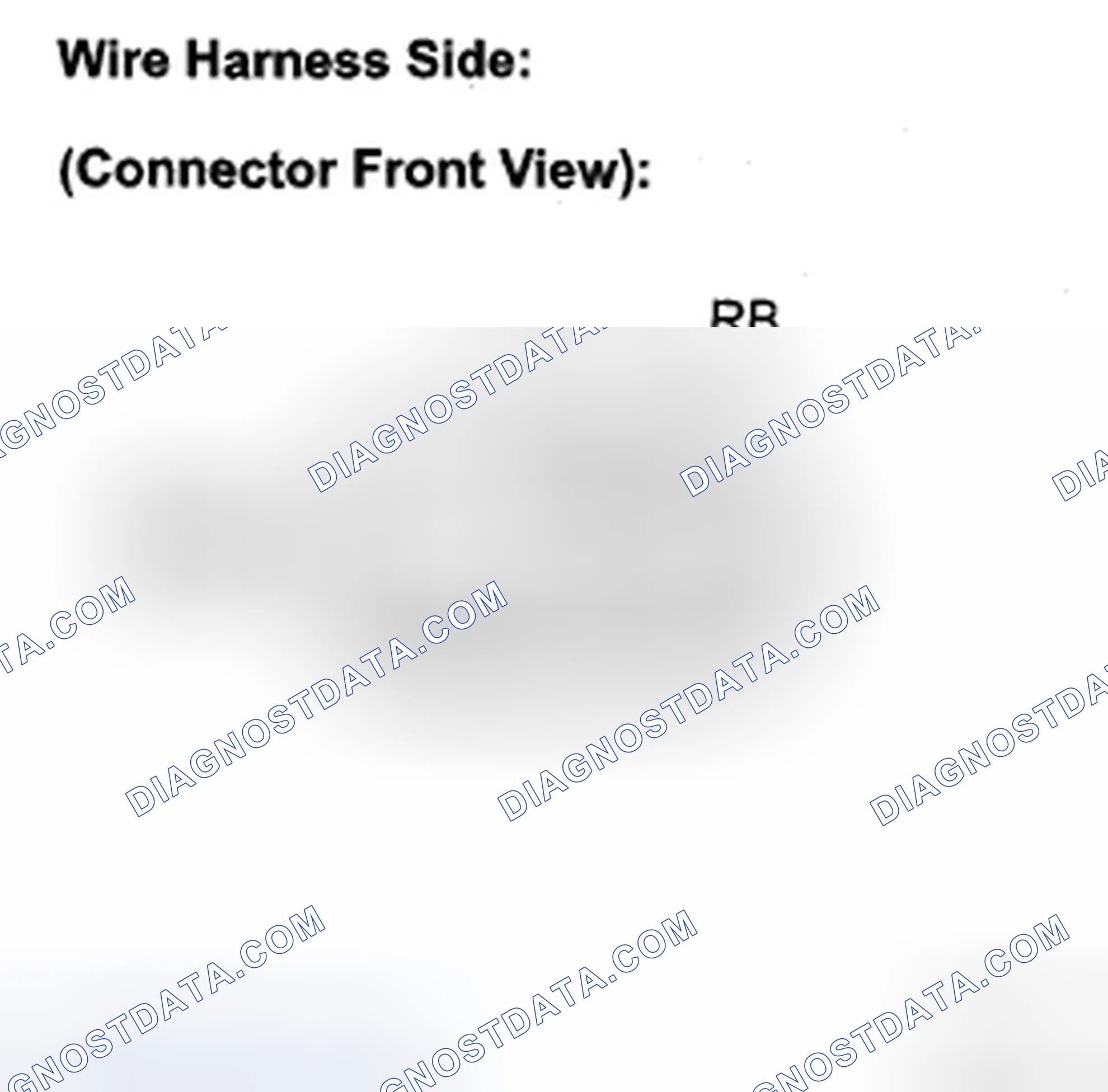 Scheme 37: INSPECTION PROCEDURE