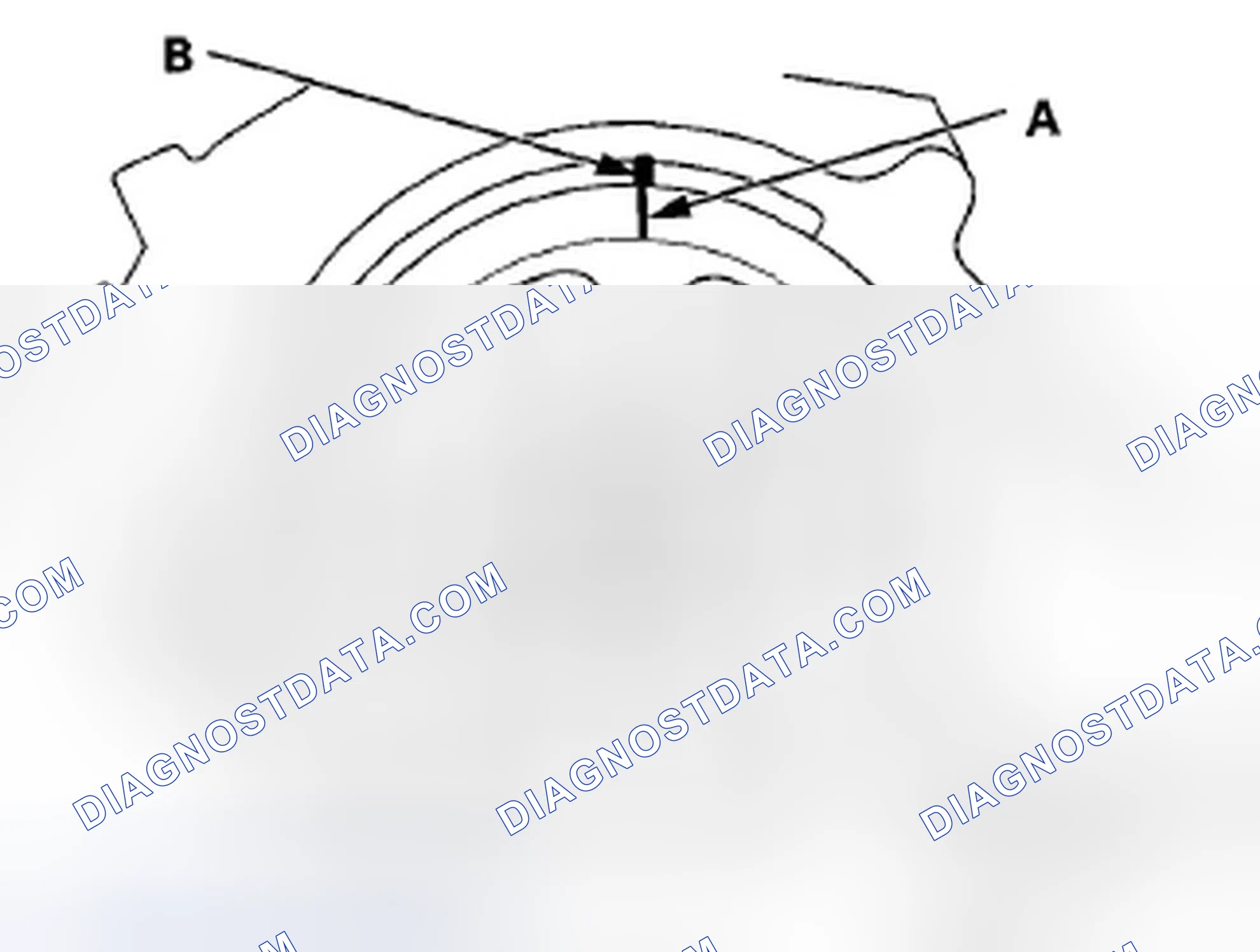 Scheme 137