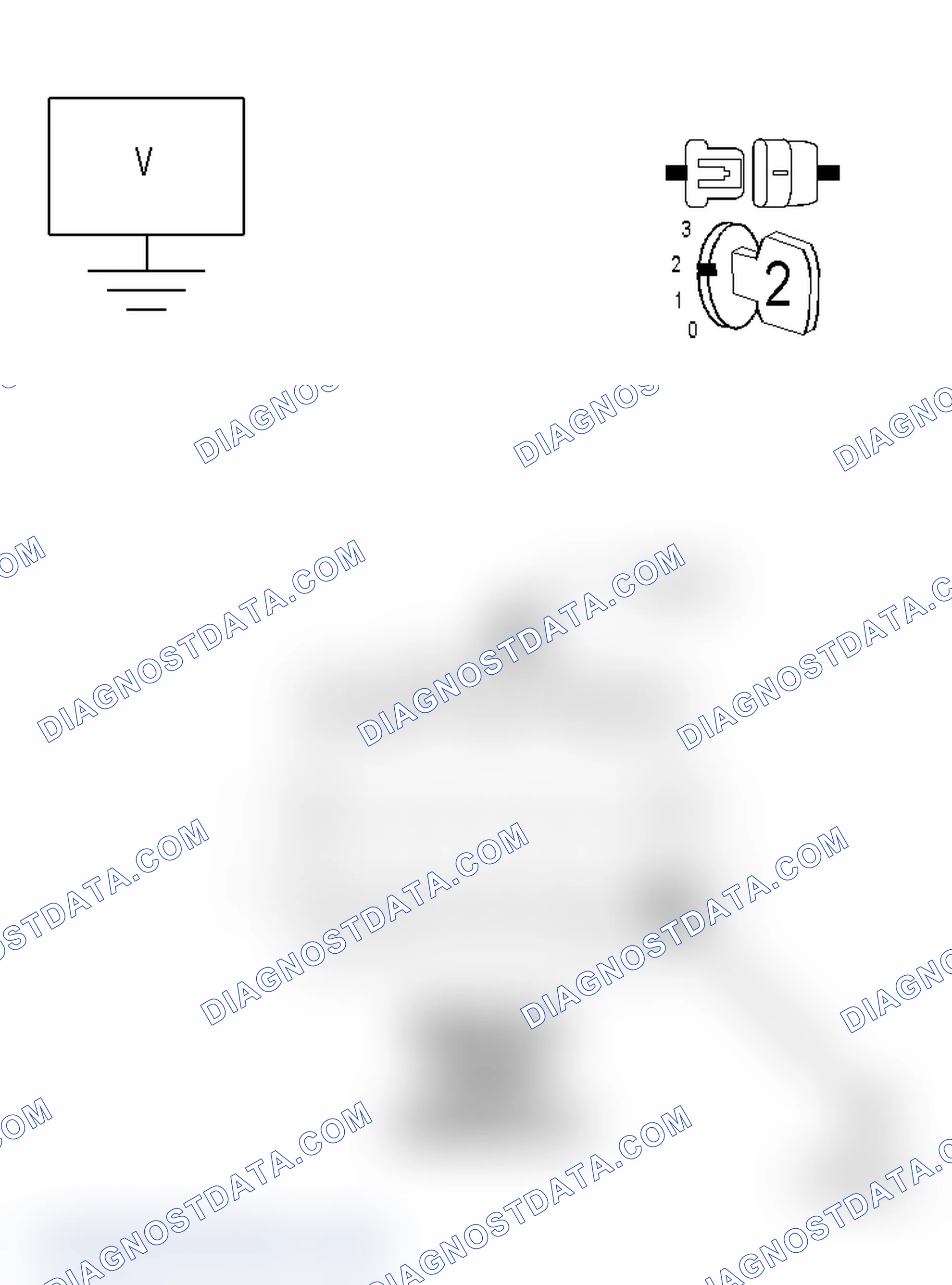 Scheme 16: Diagnostic Test