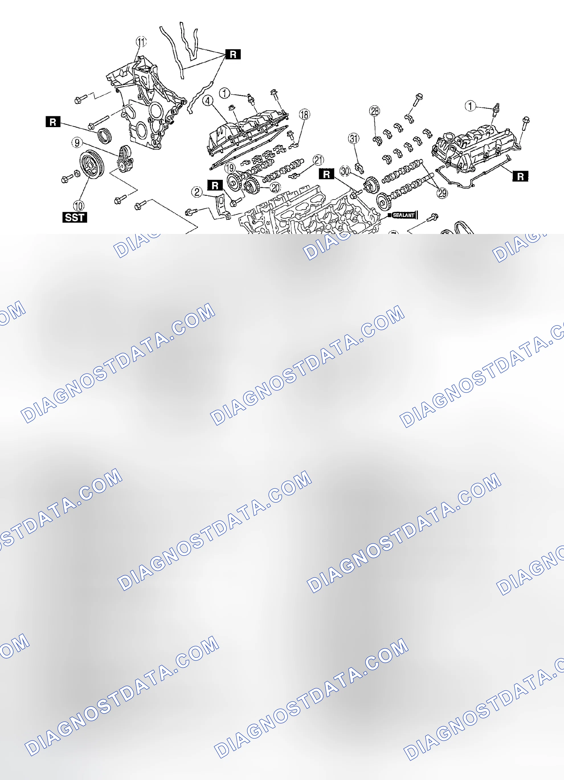 Scheme 247: TIMING CHAIN DISASSEMBLY