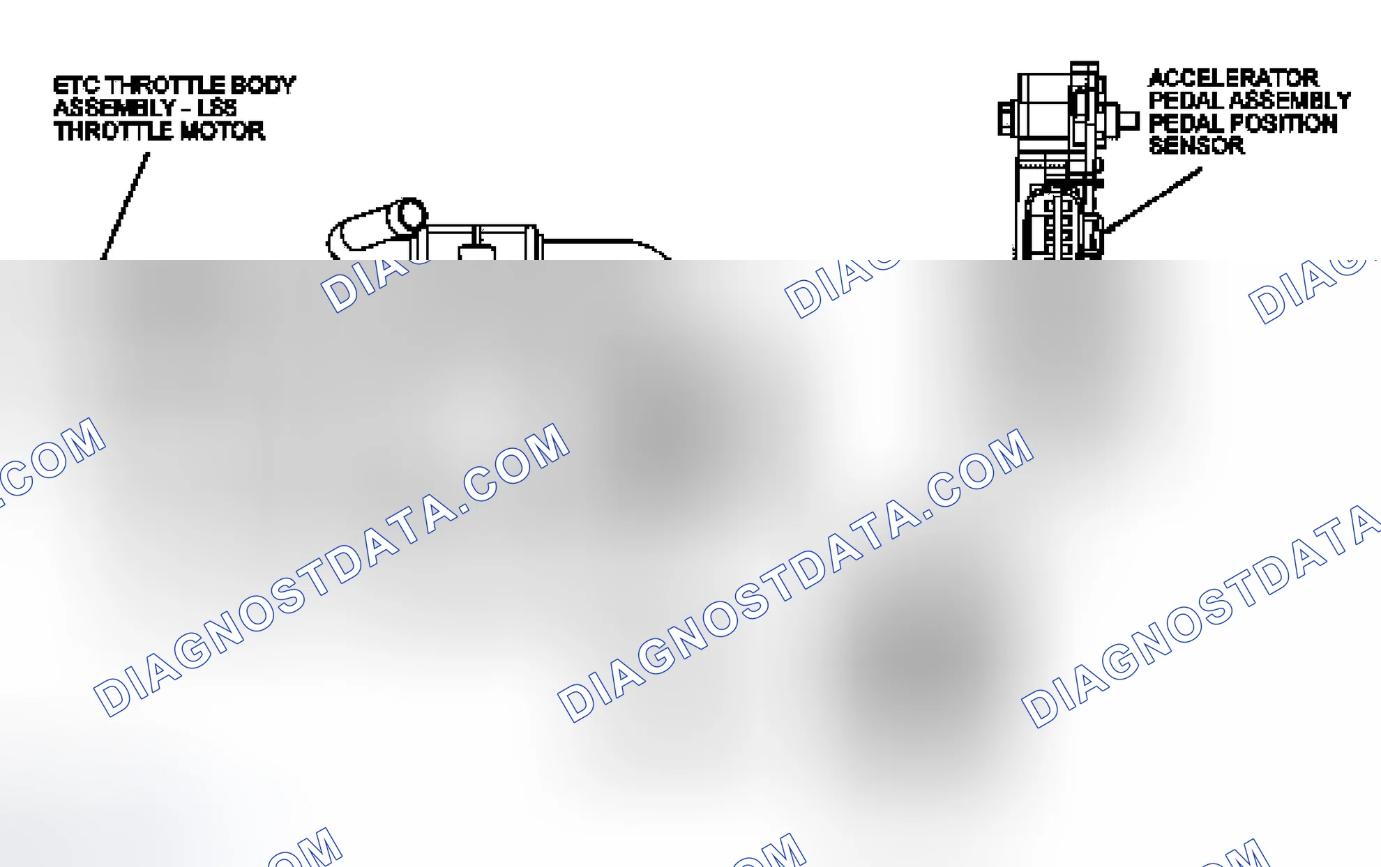 Scheme 307