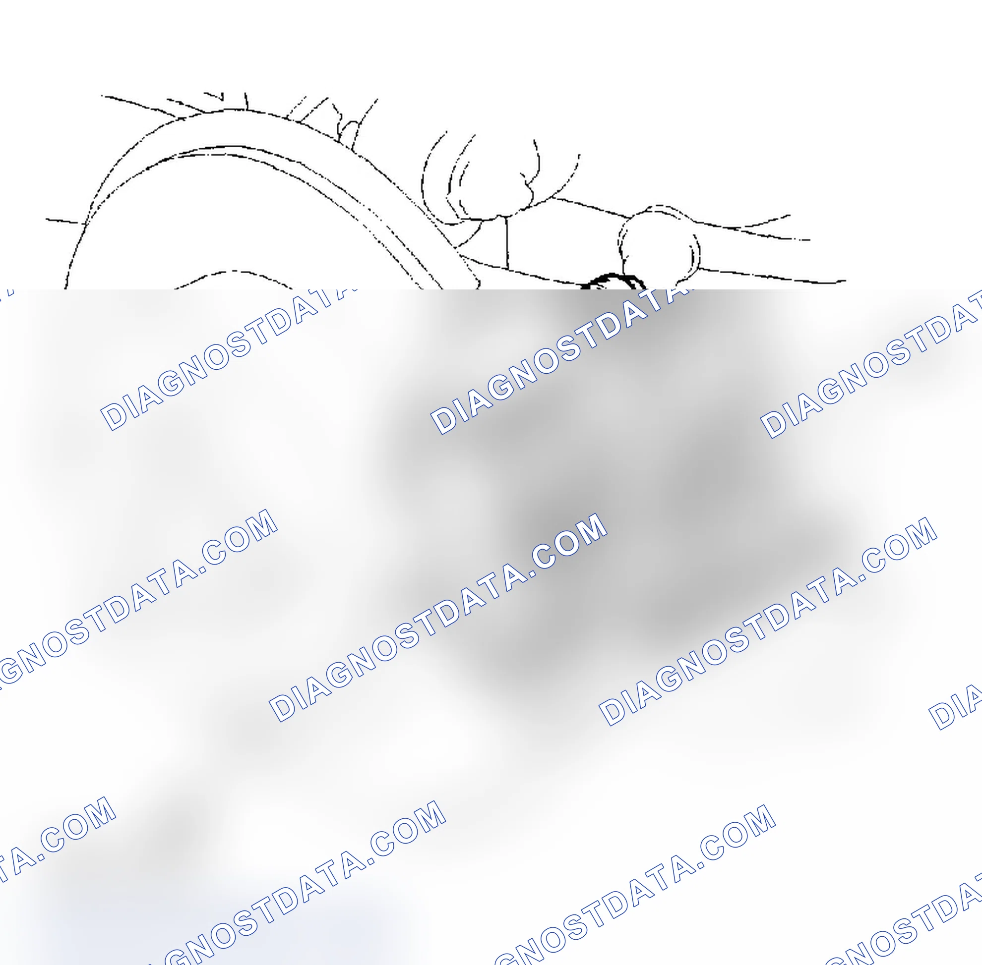 Scheme 34: Inspection