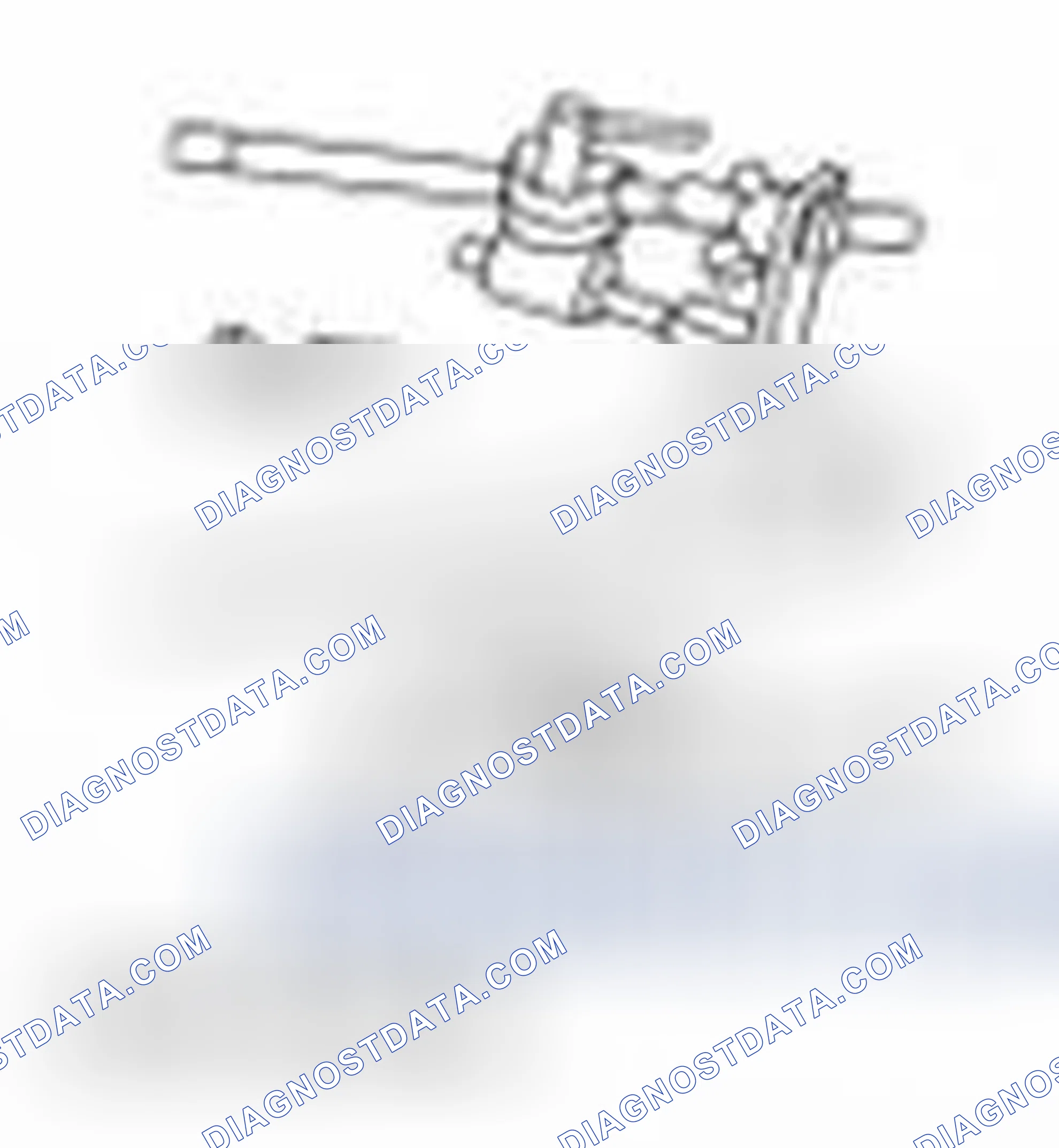 Scheme 2315: Special Tool(s)