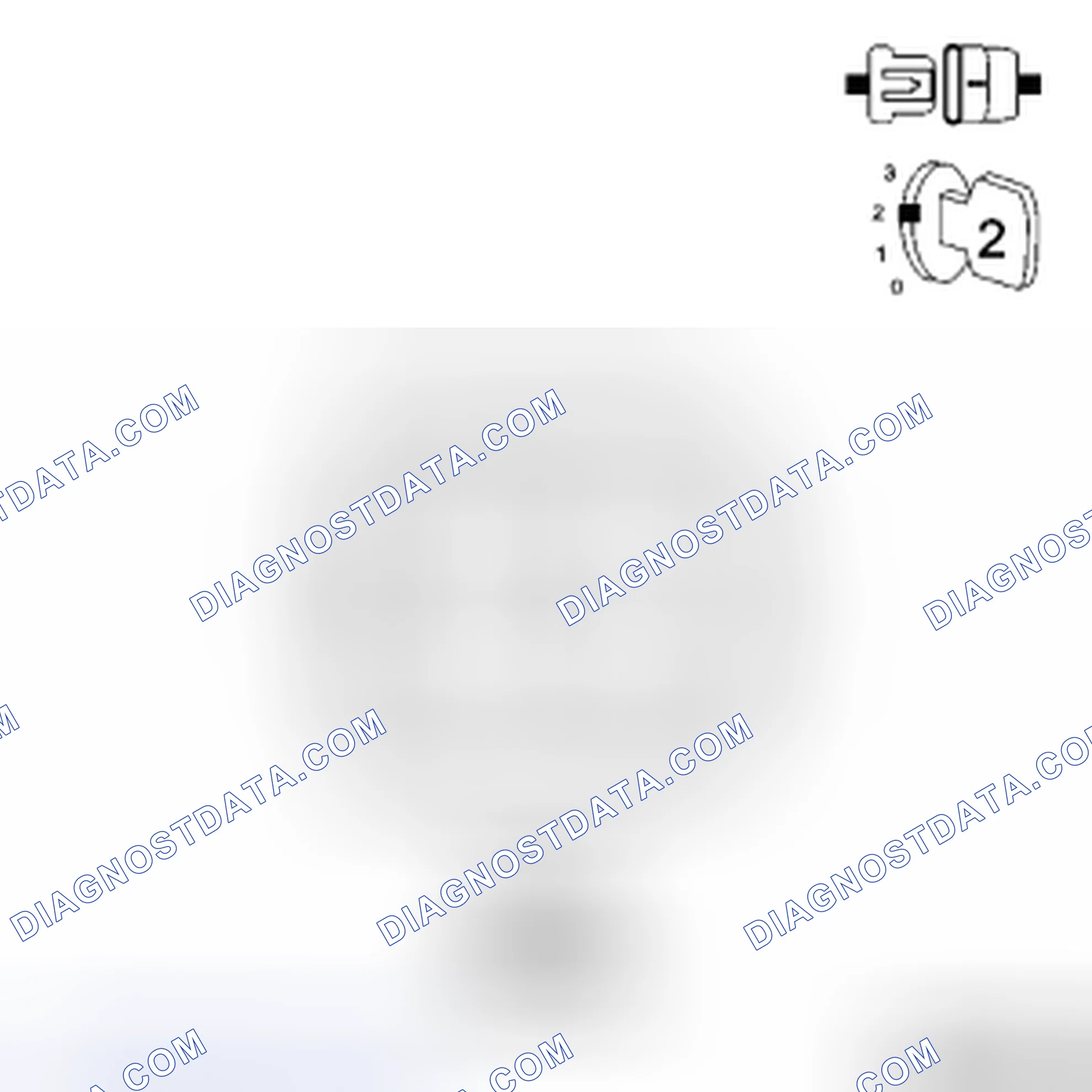 Scheme 27: Diagnostic Test