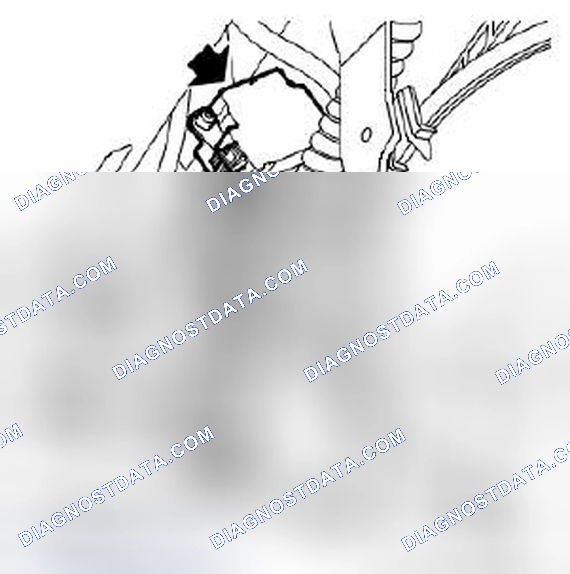 Scheme 510: To remove