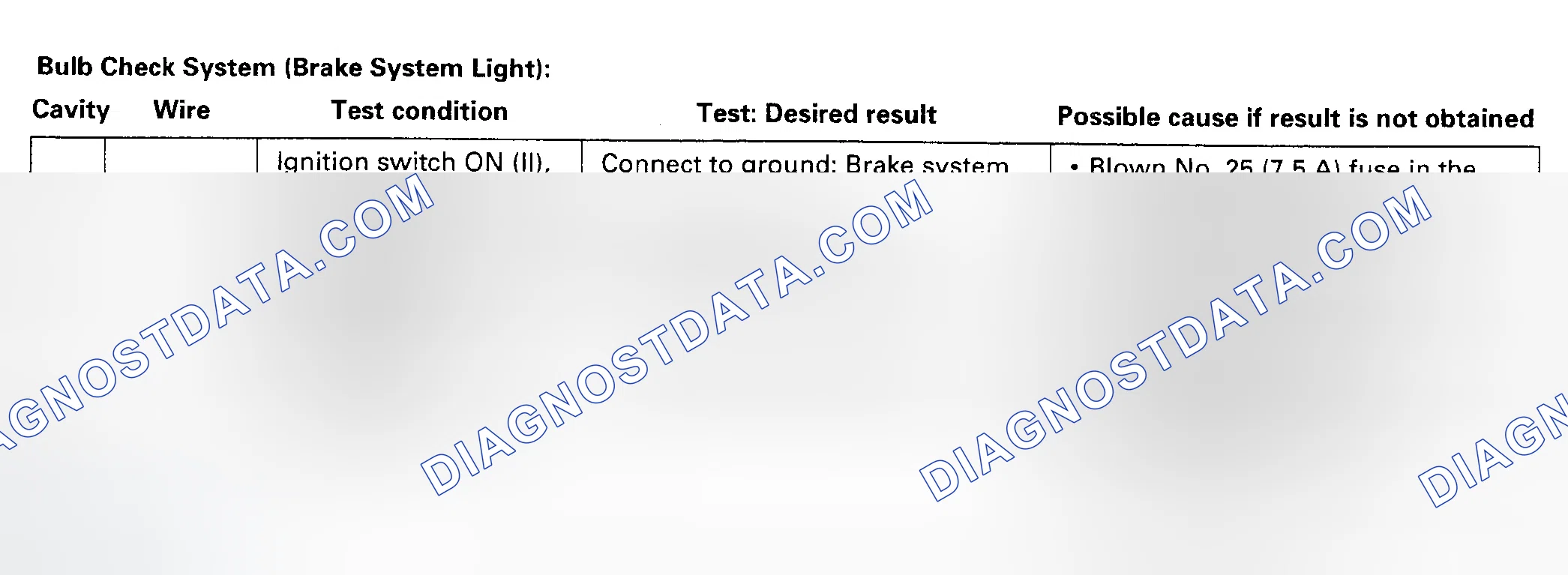 Scheme 19: Bulb Check System (Brake System Light)