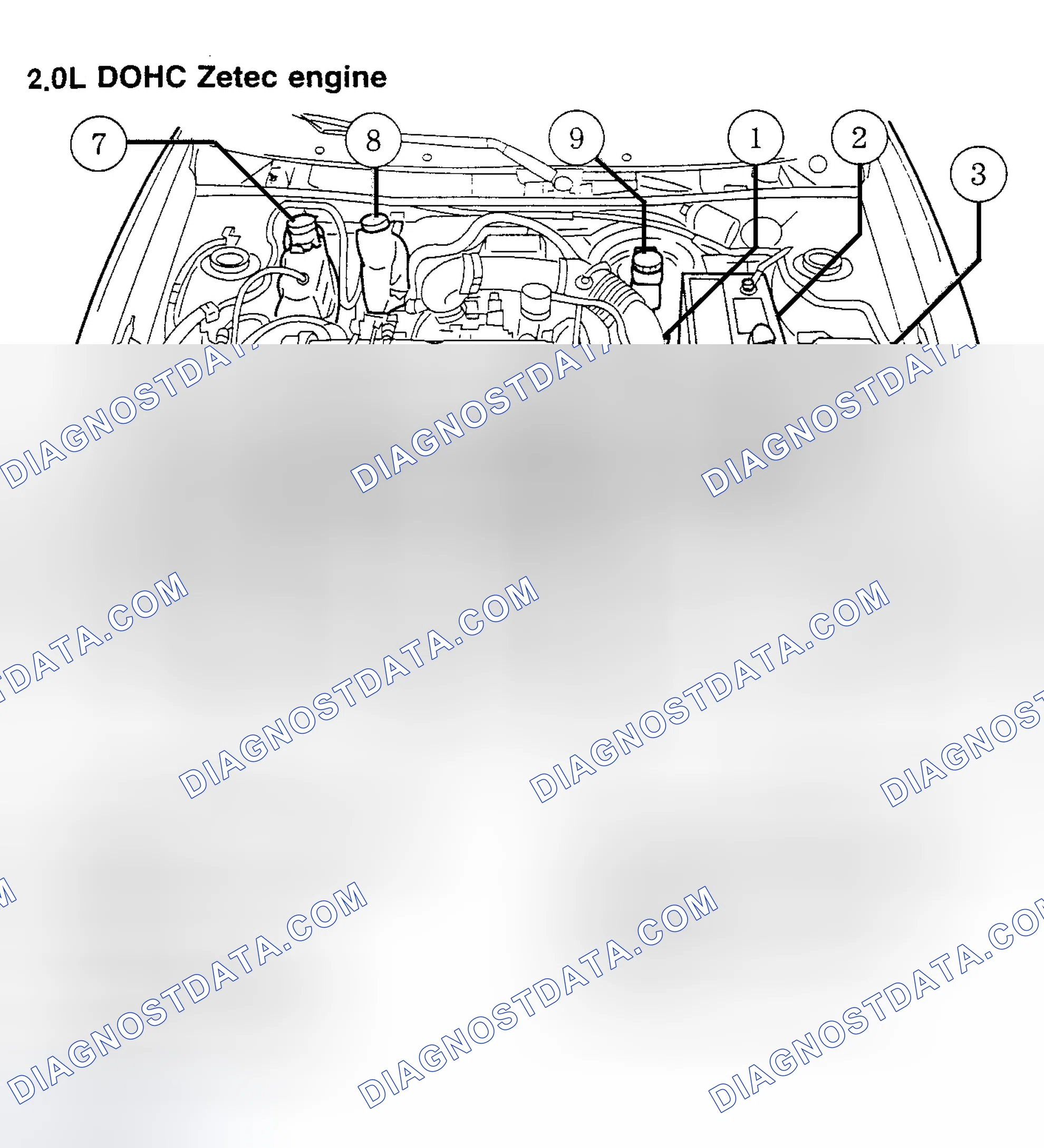 Scheme 7
