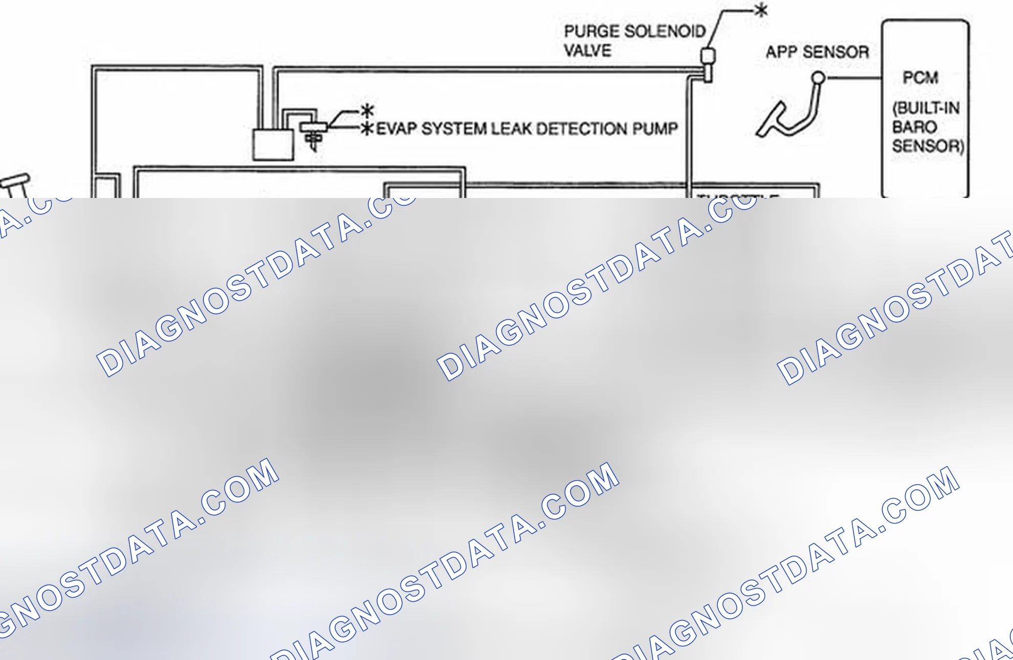 Scheme 47: Except for California Emission Regulation Applicable Model