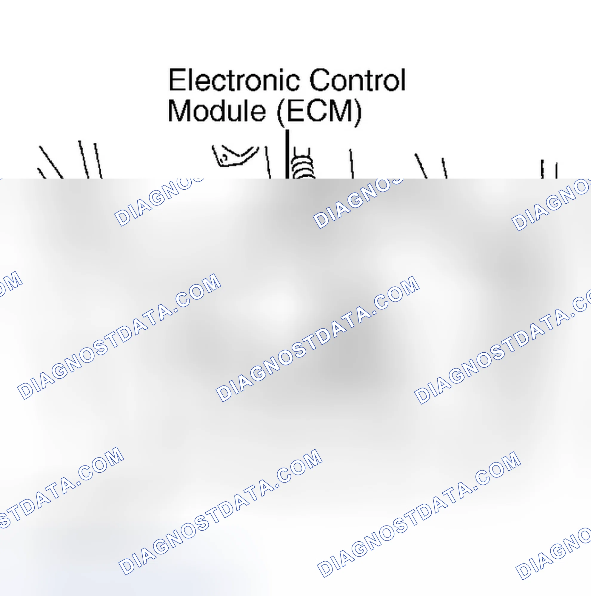 Scheme 13: ECM LOCATION