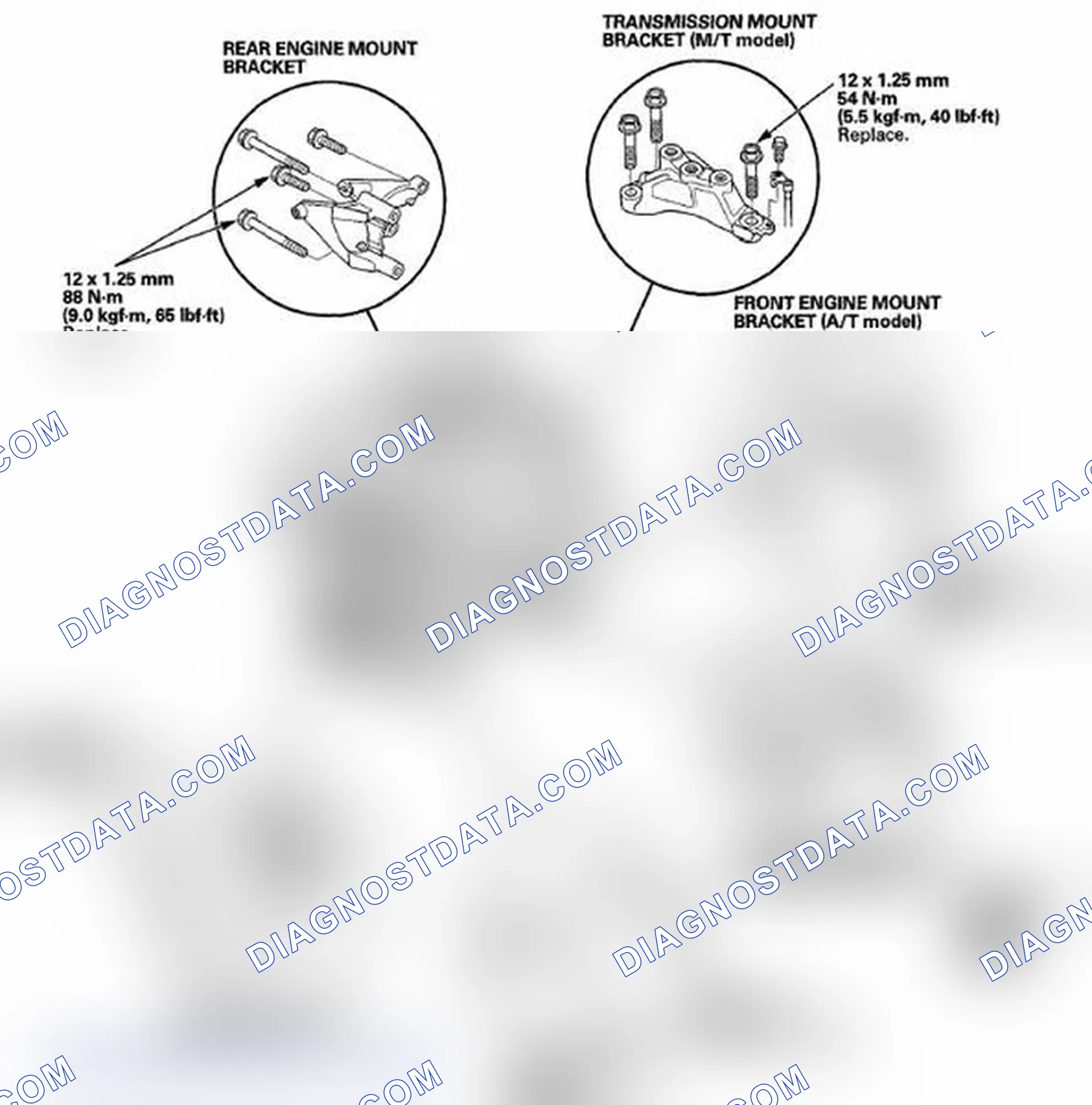 Scheme 538