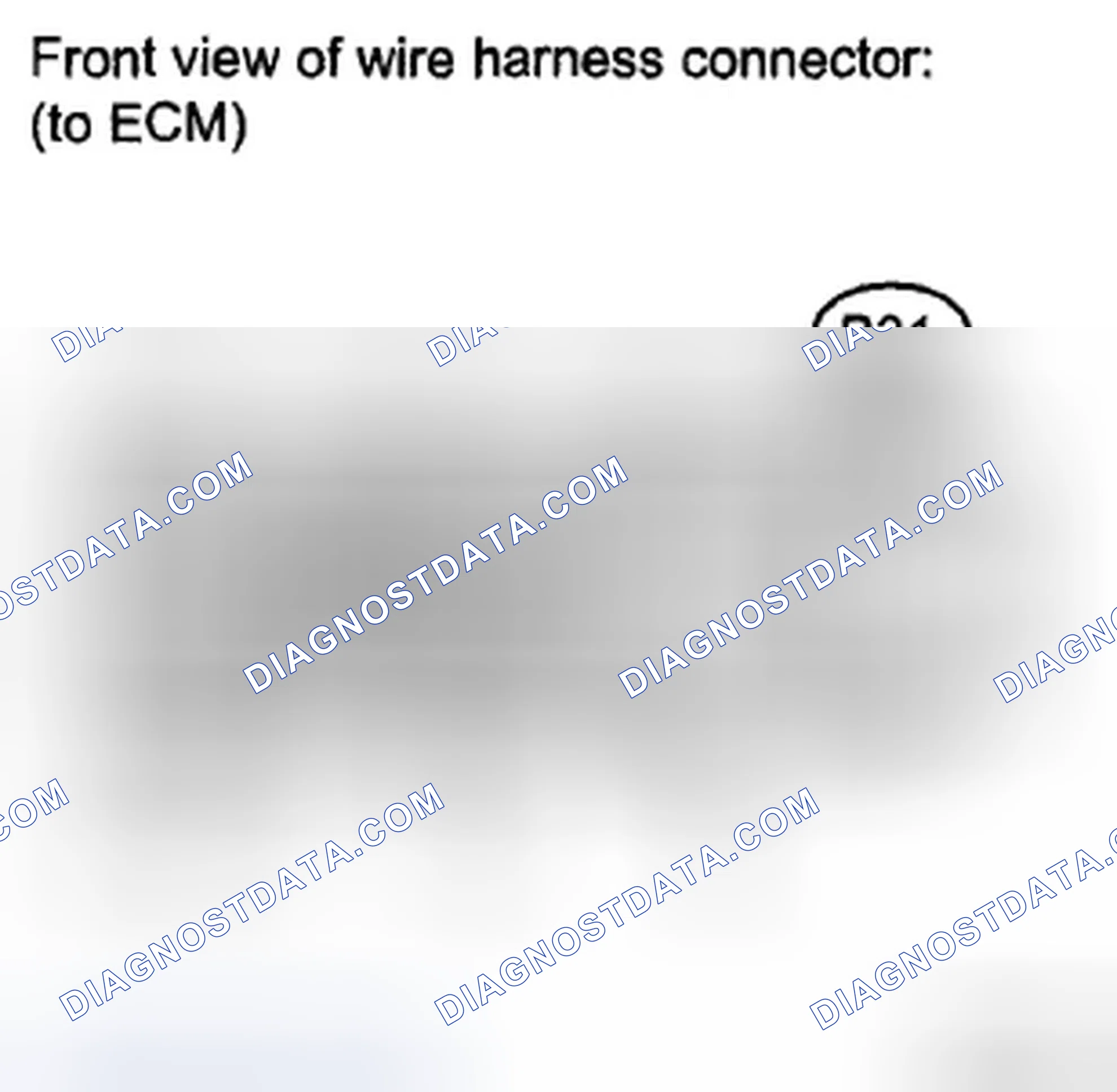 Scheme 378