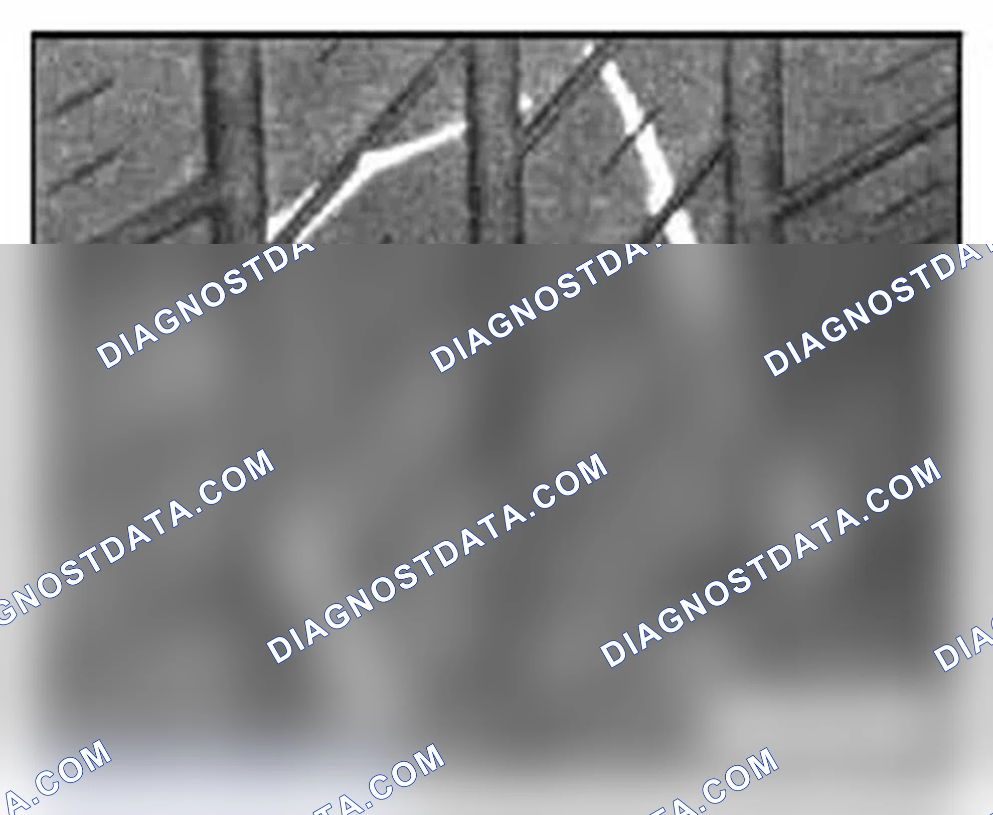 Scheme 38: Air Loss from Tire