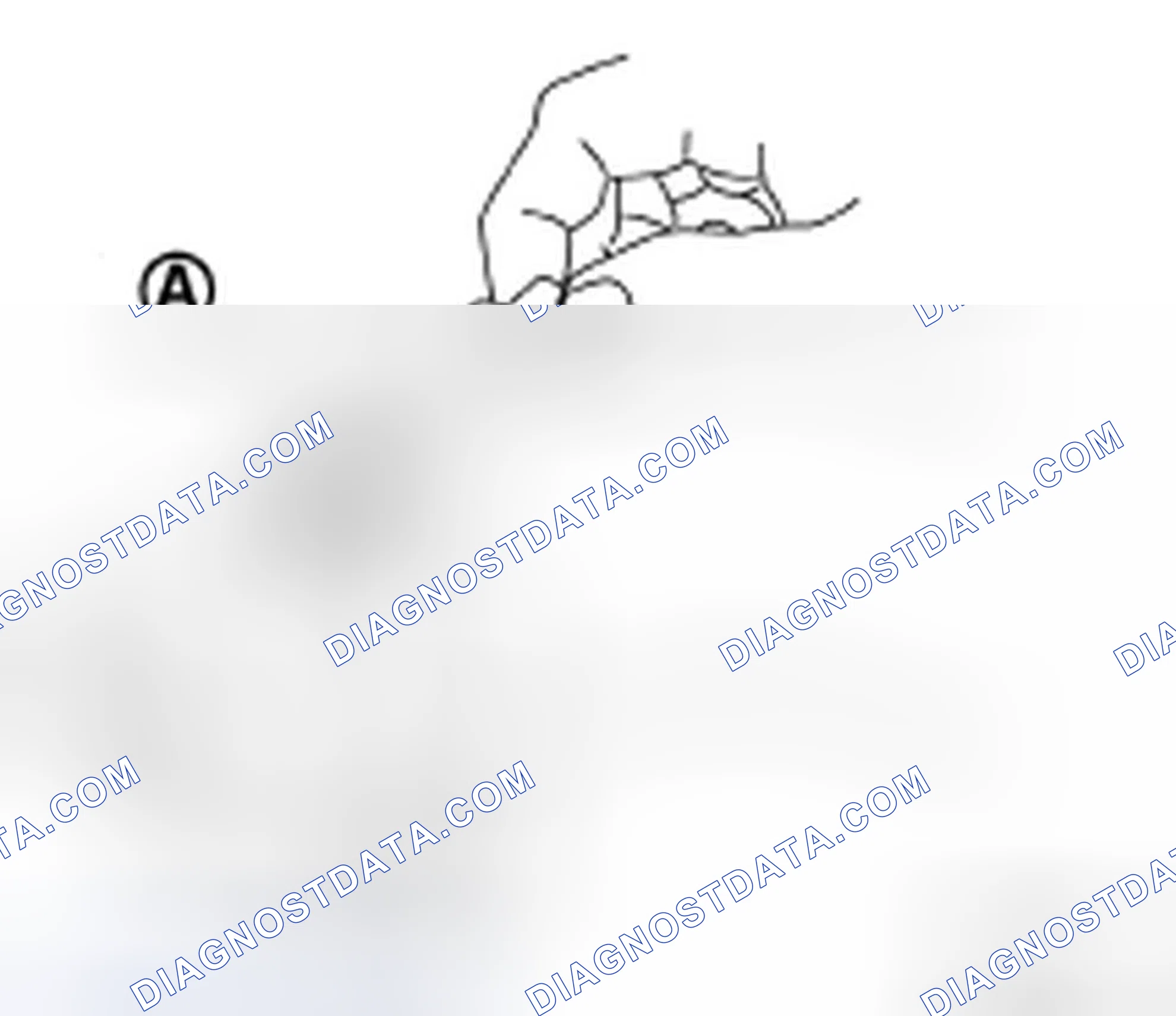 Scheme 8