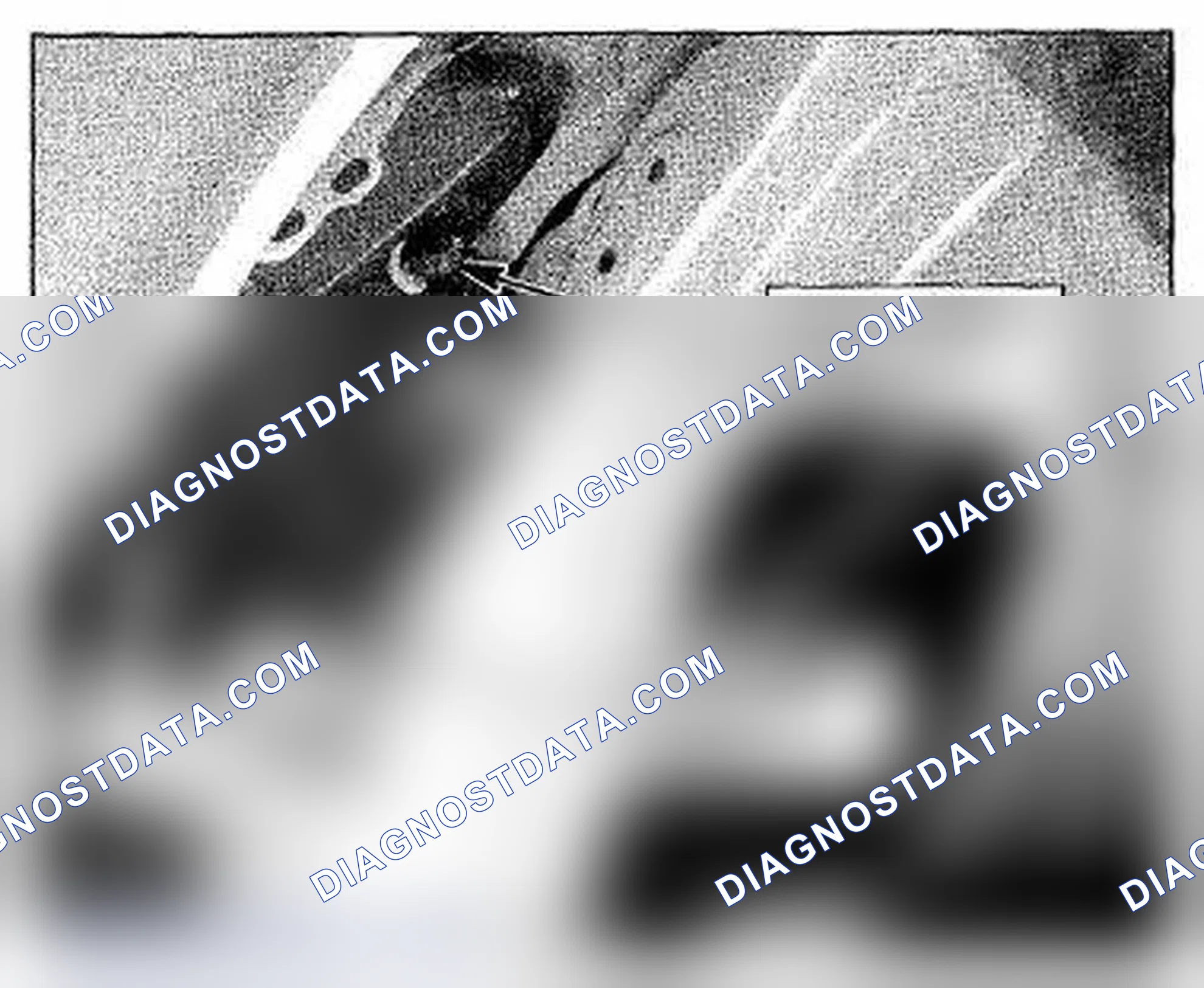 Scheme 1175: Left Front Wheelwell (Right Similar) Component Location (Photo 166)