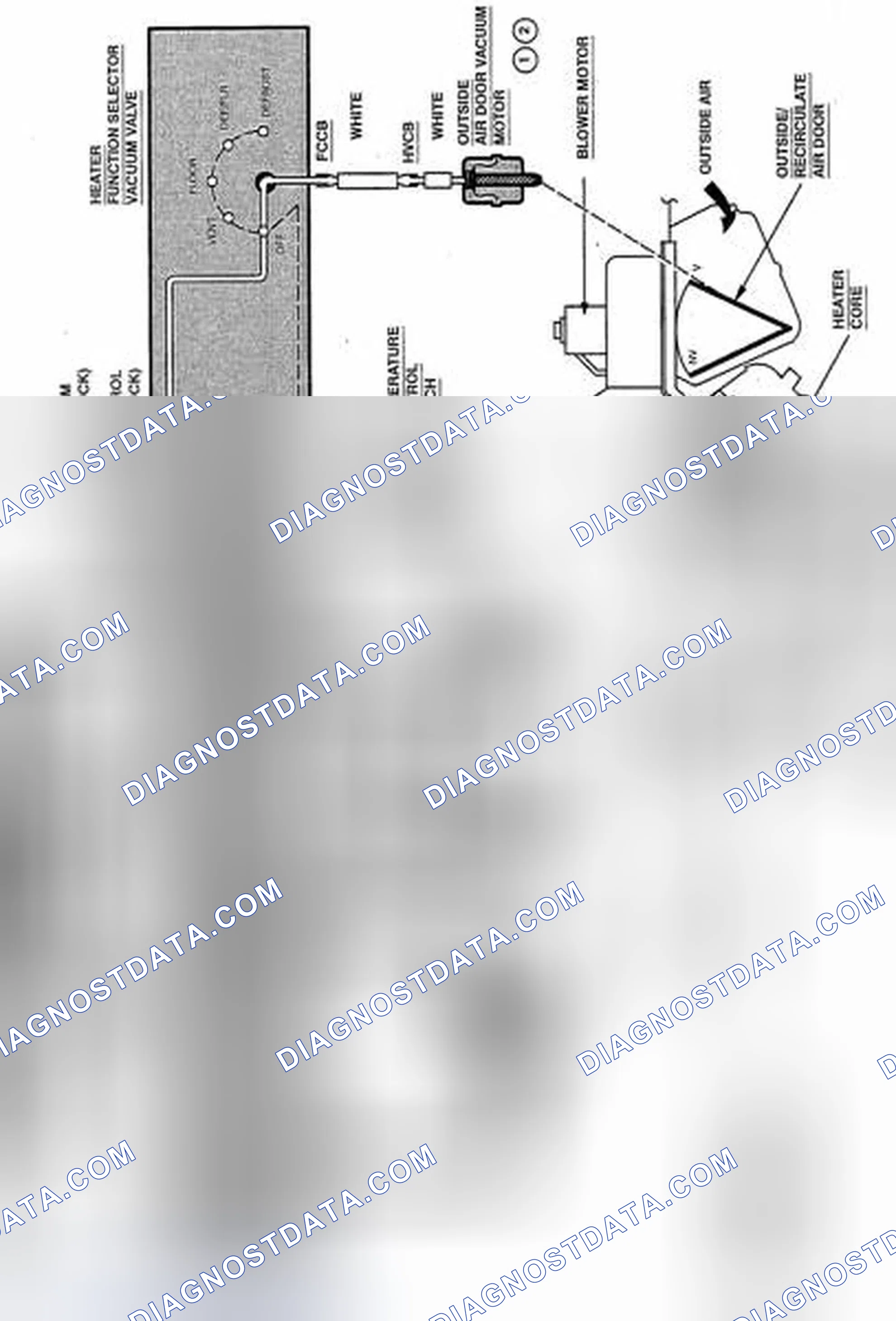 Scheme 2: VACUUM HOSE DIAGRAM(S)
