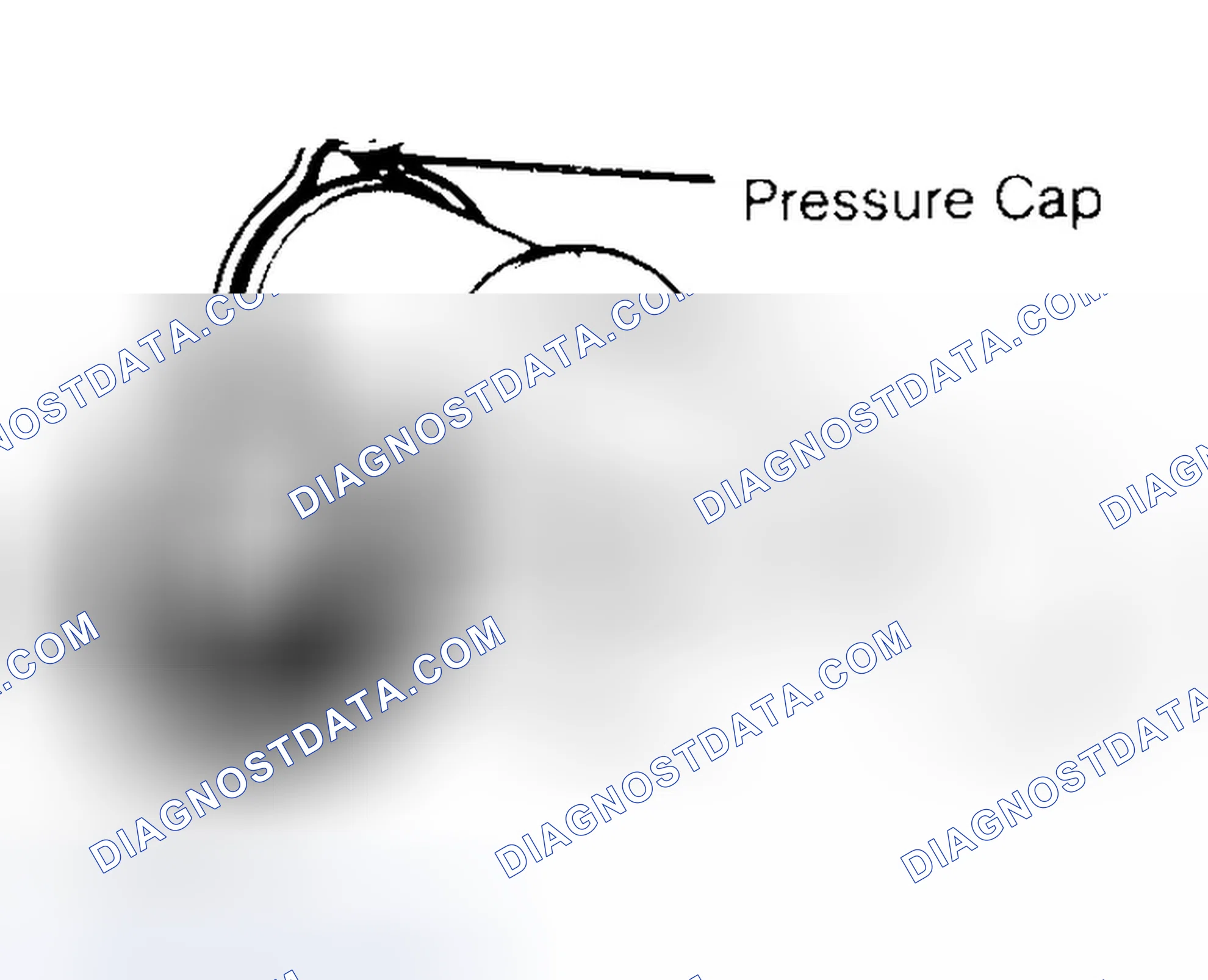 Scheme 2: Pressure Testing Radiator Cap