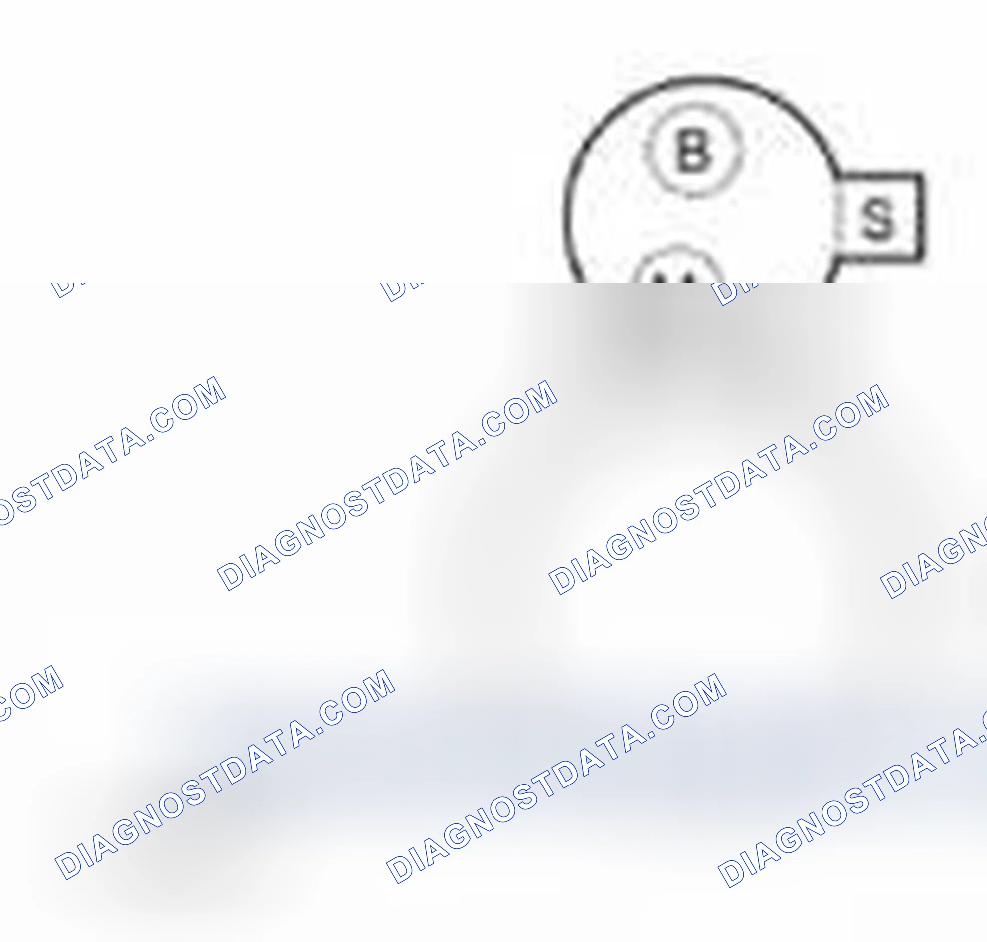 Scheme 16: PINPOINT TEST B: UNUSUAL STARTER NOISE