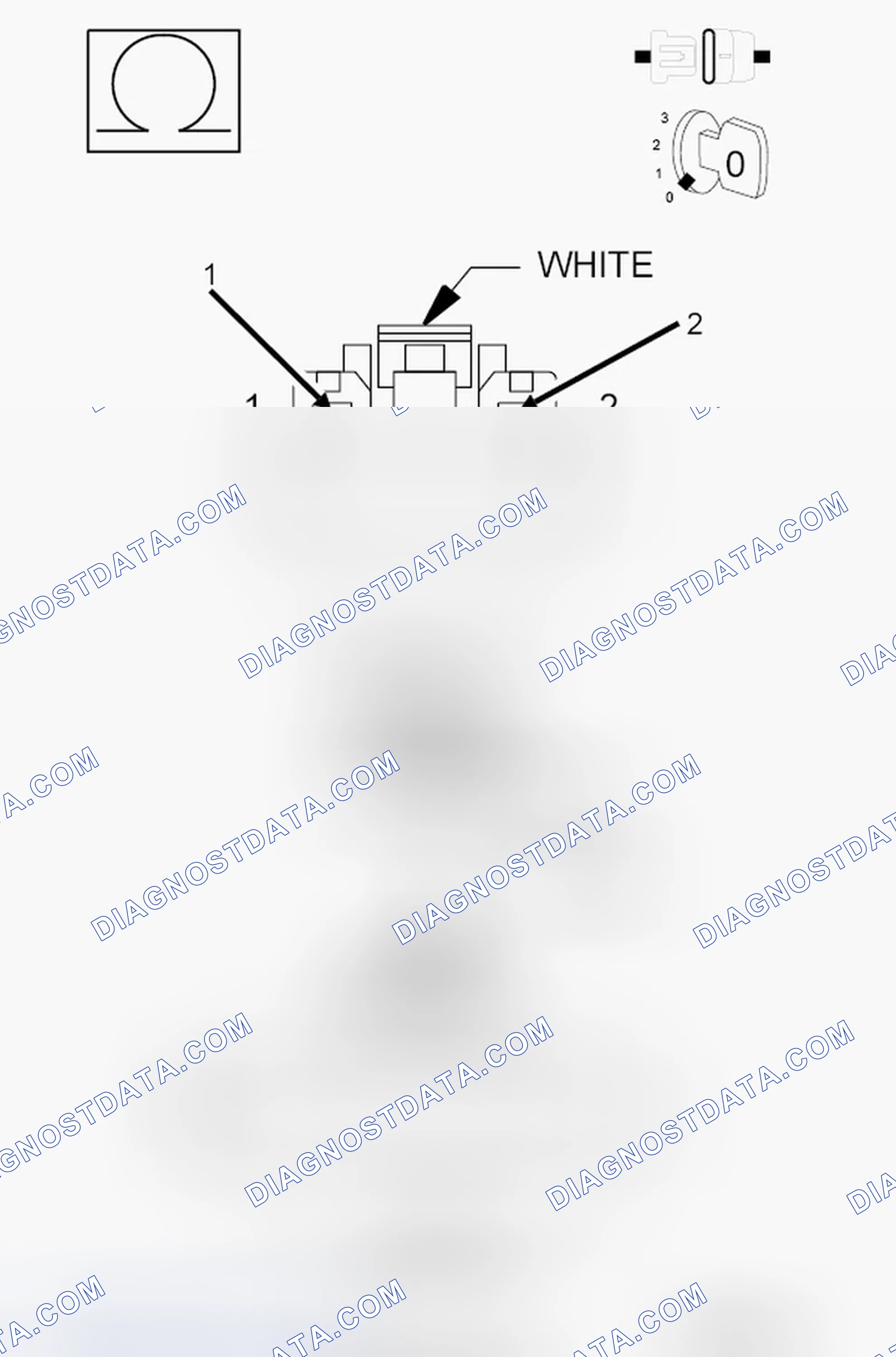 Scheme 58: Diagnostic Test