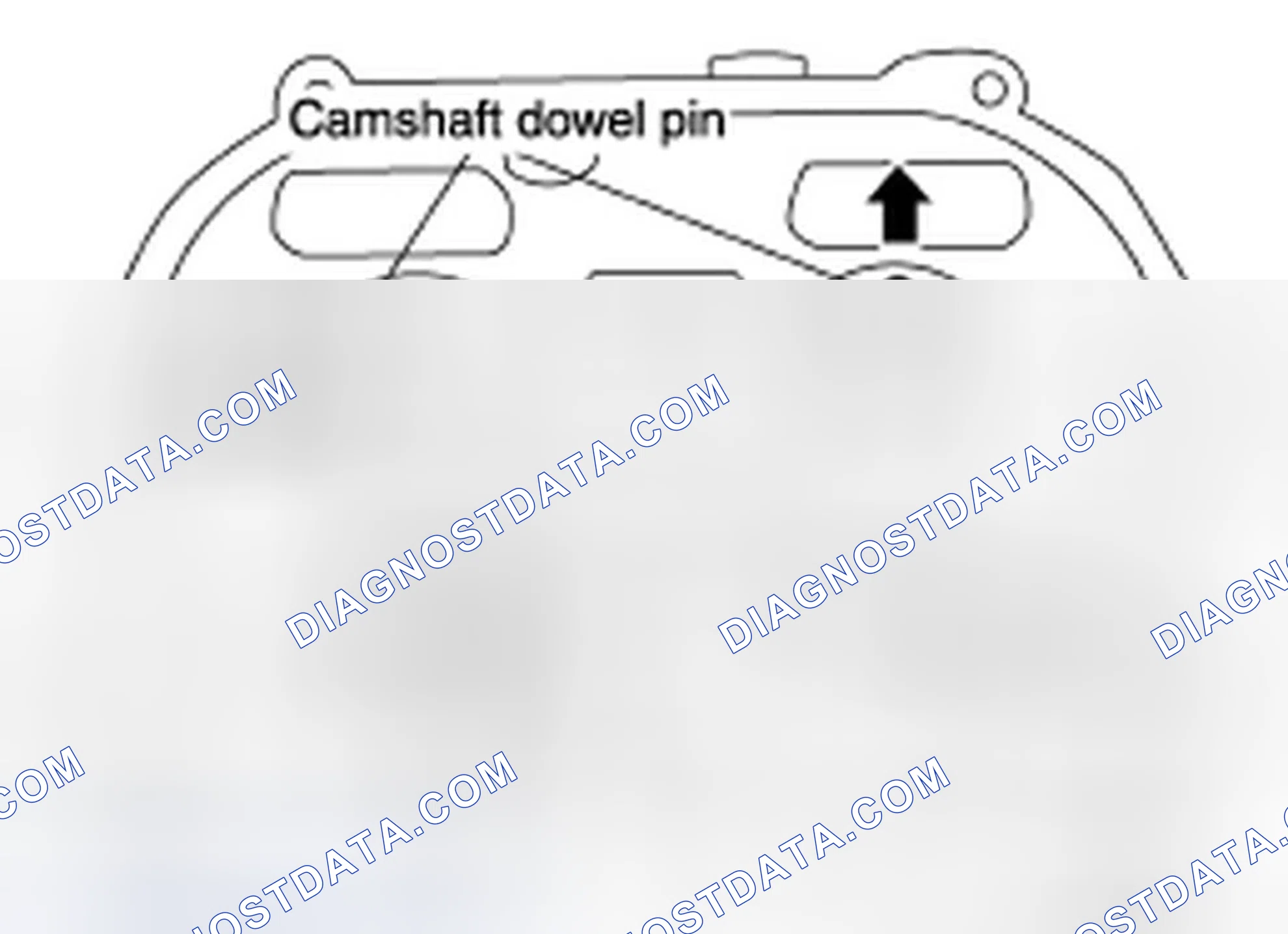 Scheme 119