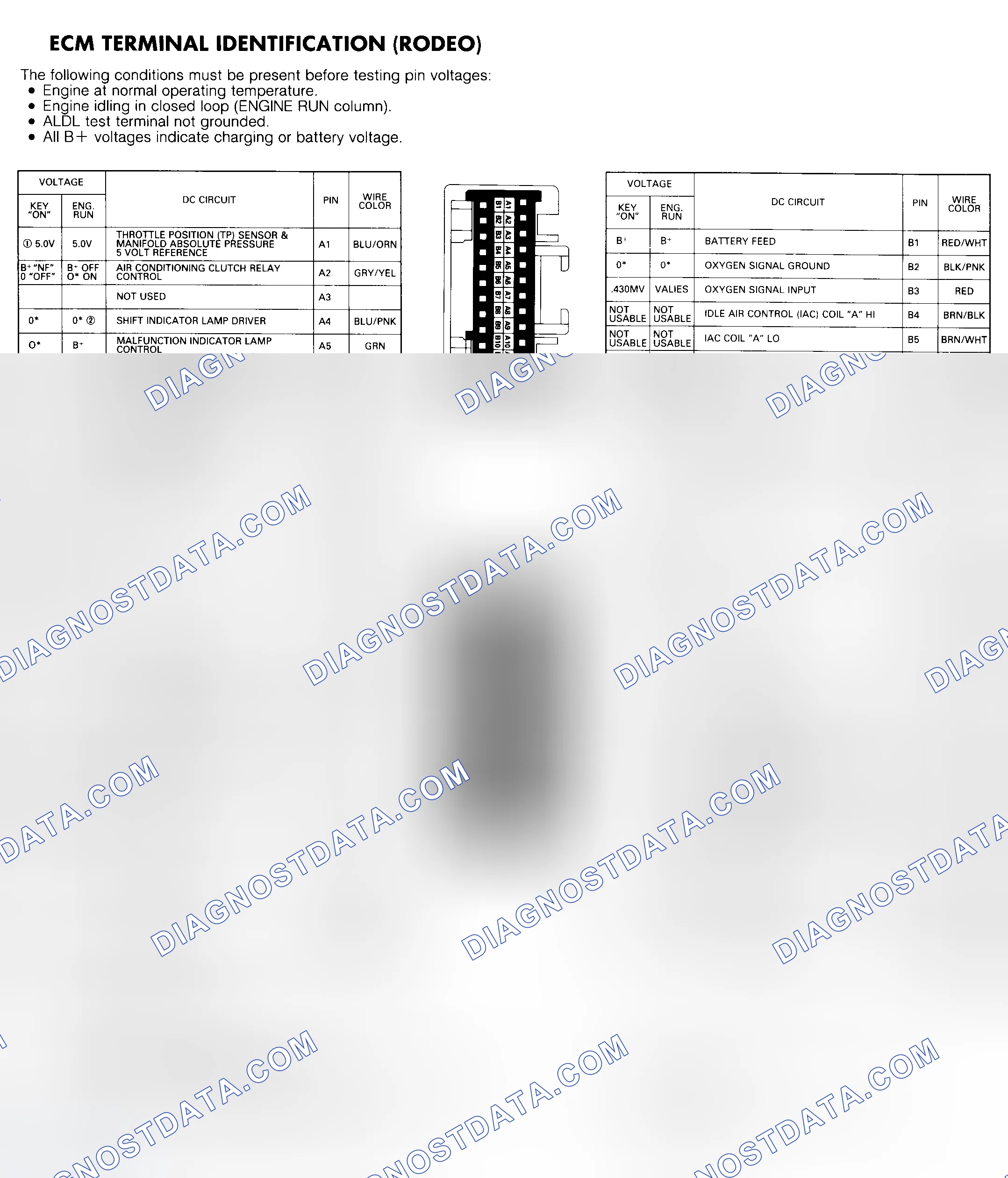Scheme 69: ECU Terminal Identification (Rodeo) Courtesy Isuzu Motor Co.