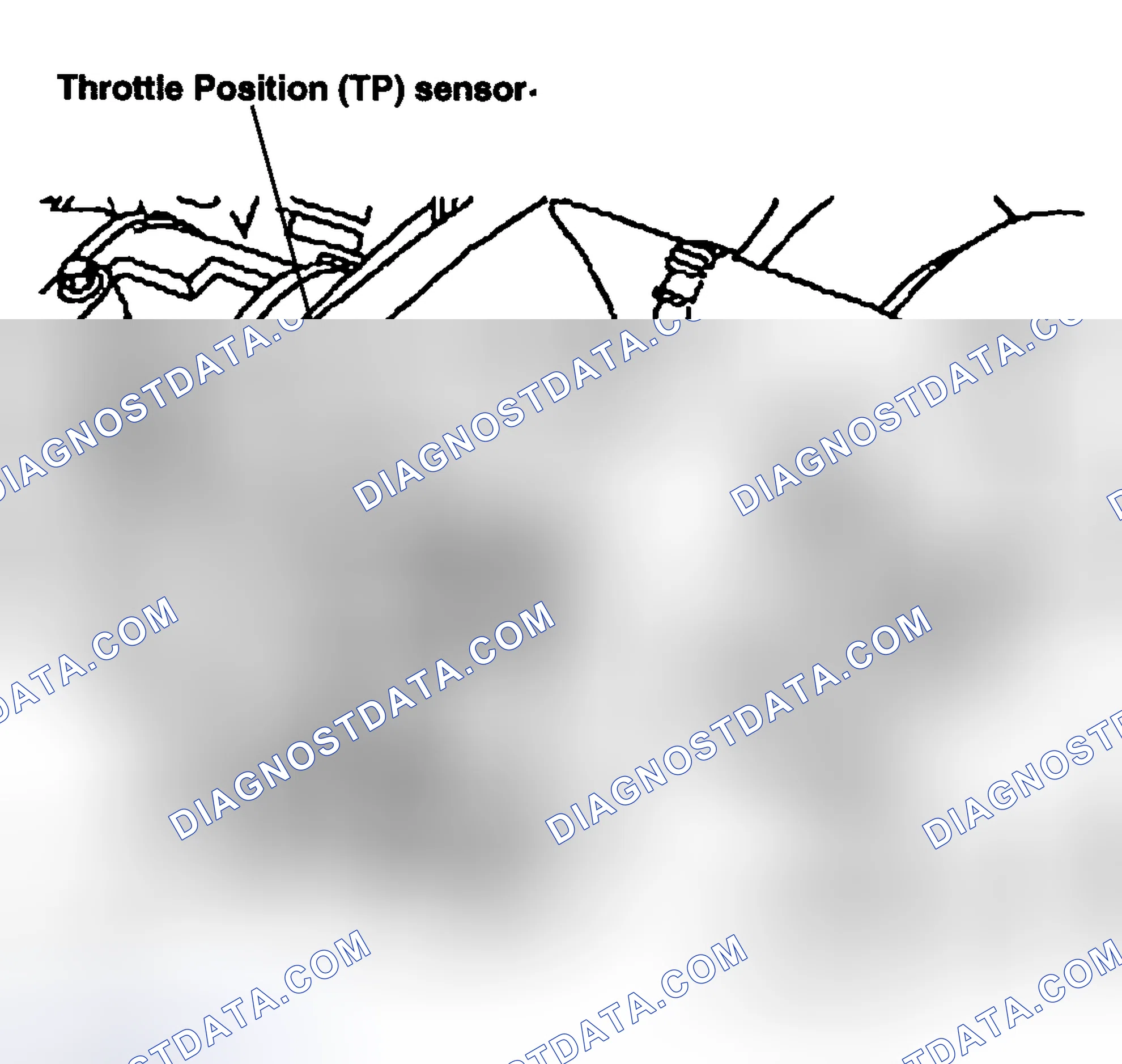 Scheme 48: Throttle Position (TP) Sensor