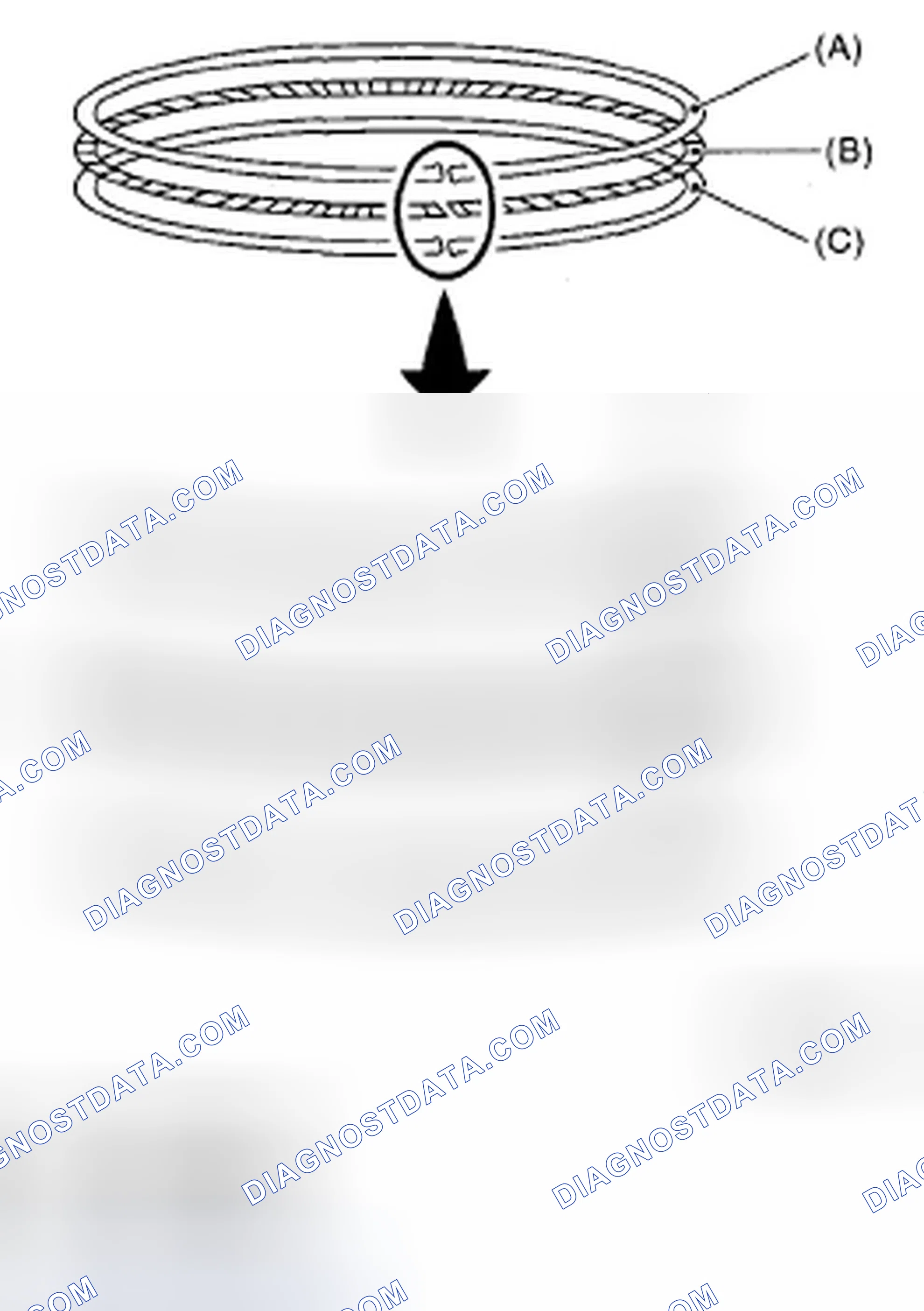 Scheme 457: PISTON RING