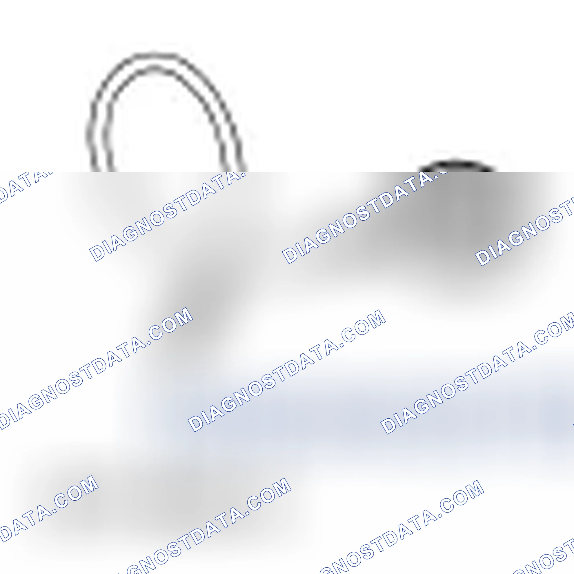 Scheme 1: Exhaust System
