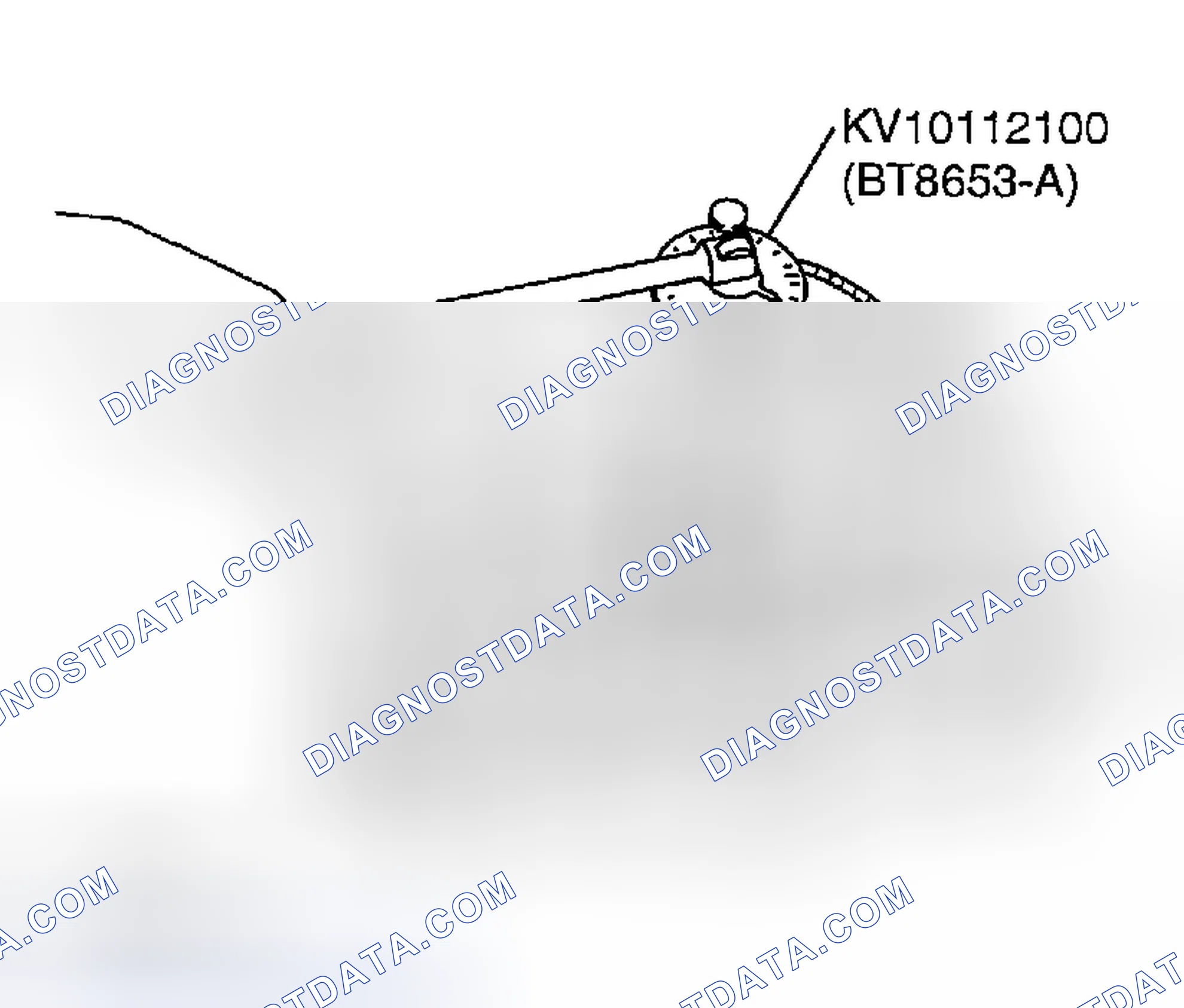 Scheme 335