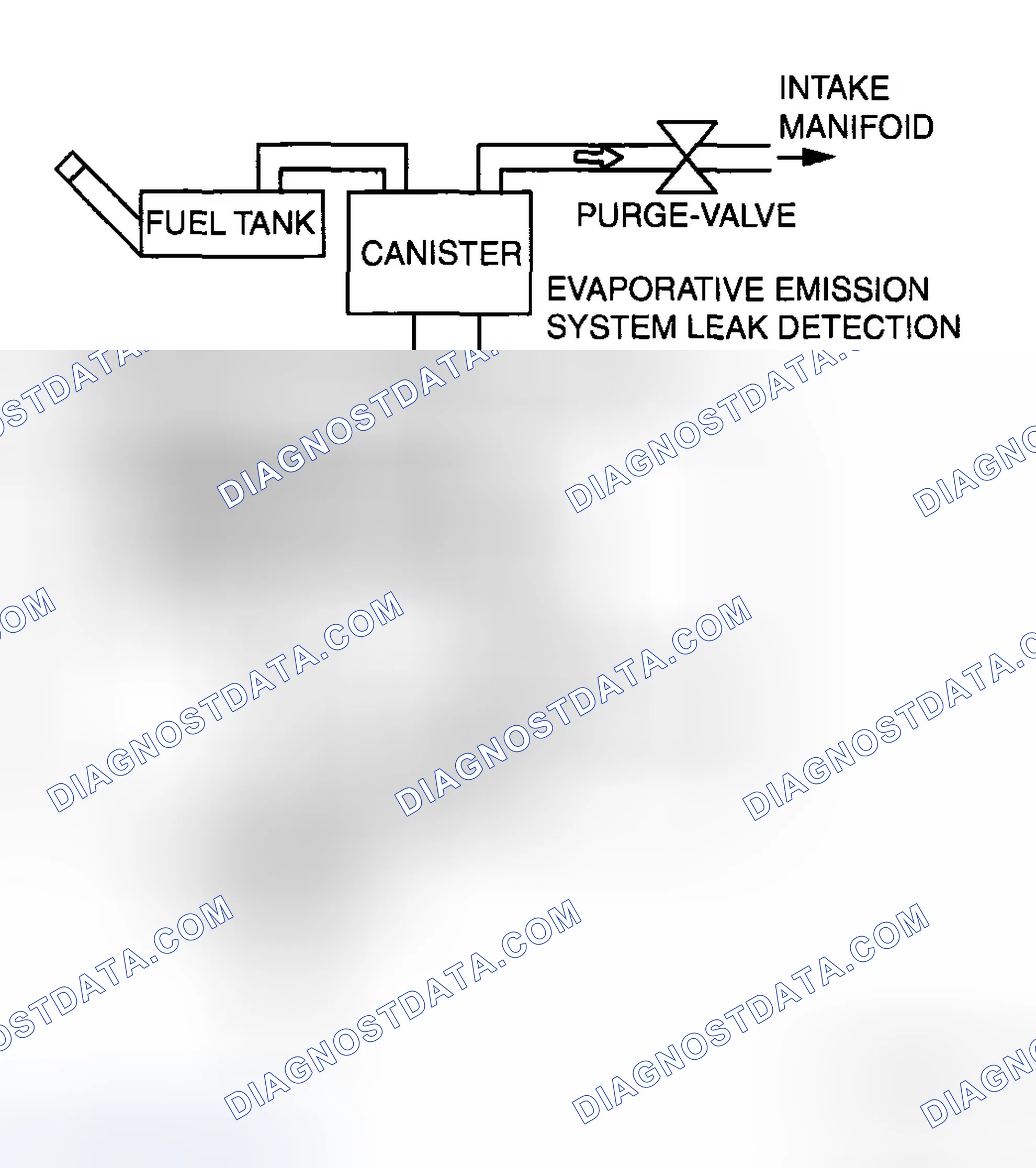 Scheme 169: EVAP system malfunction judgment