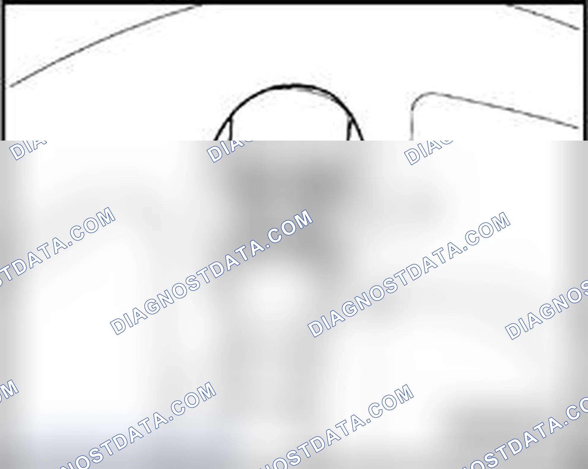Scheme 83: Rear strut
