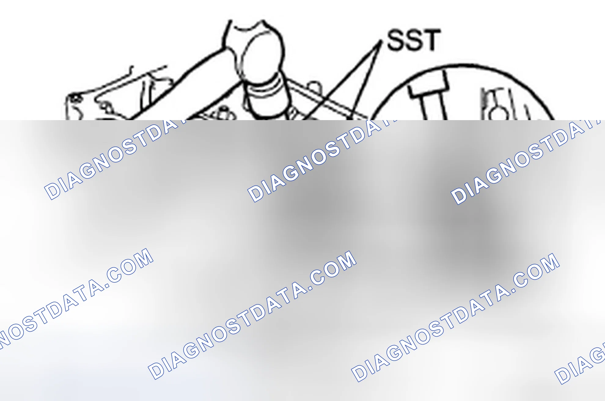 Scheme 305
