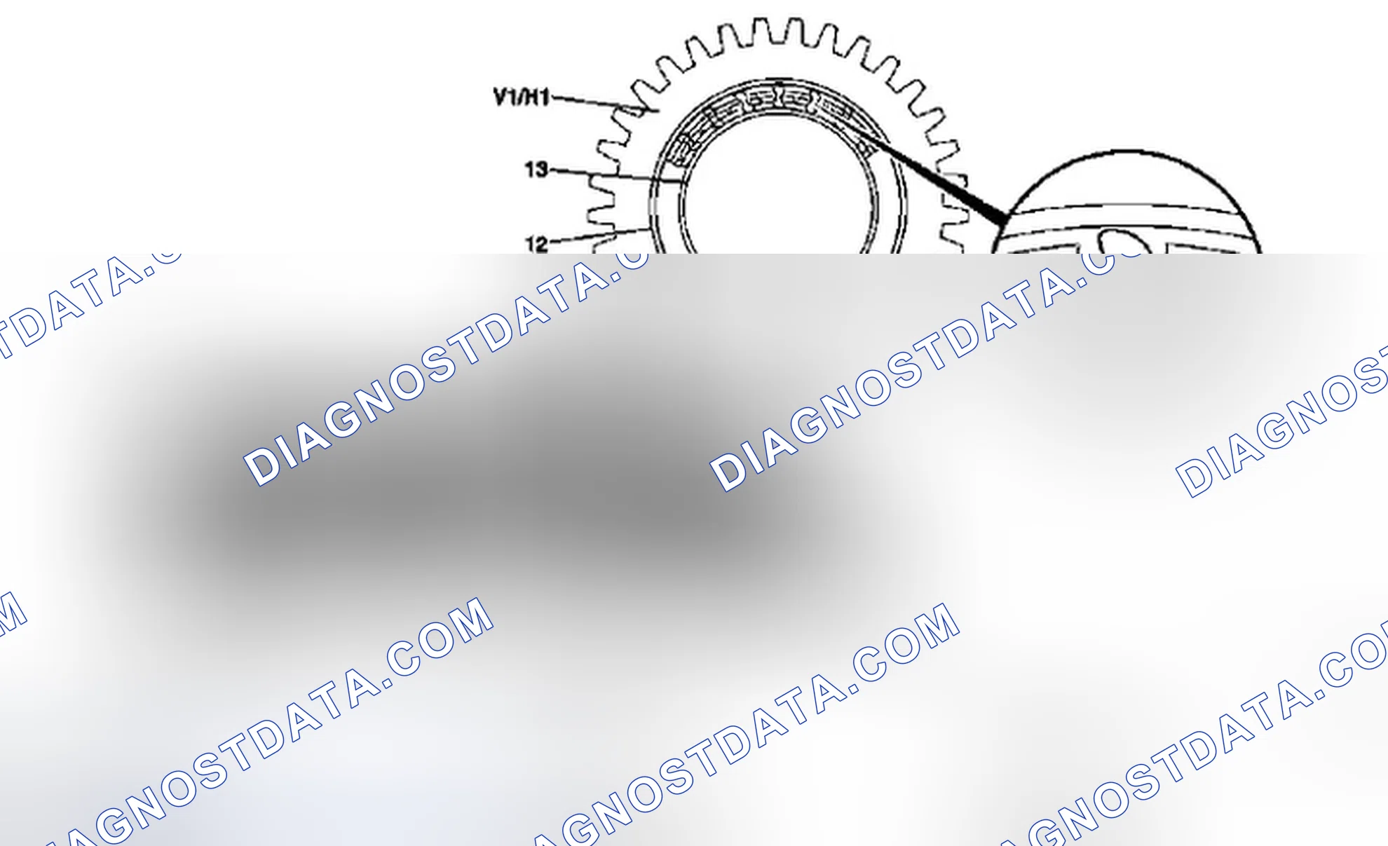 Scheme 68: Identifying Freewheel Components Function