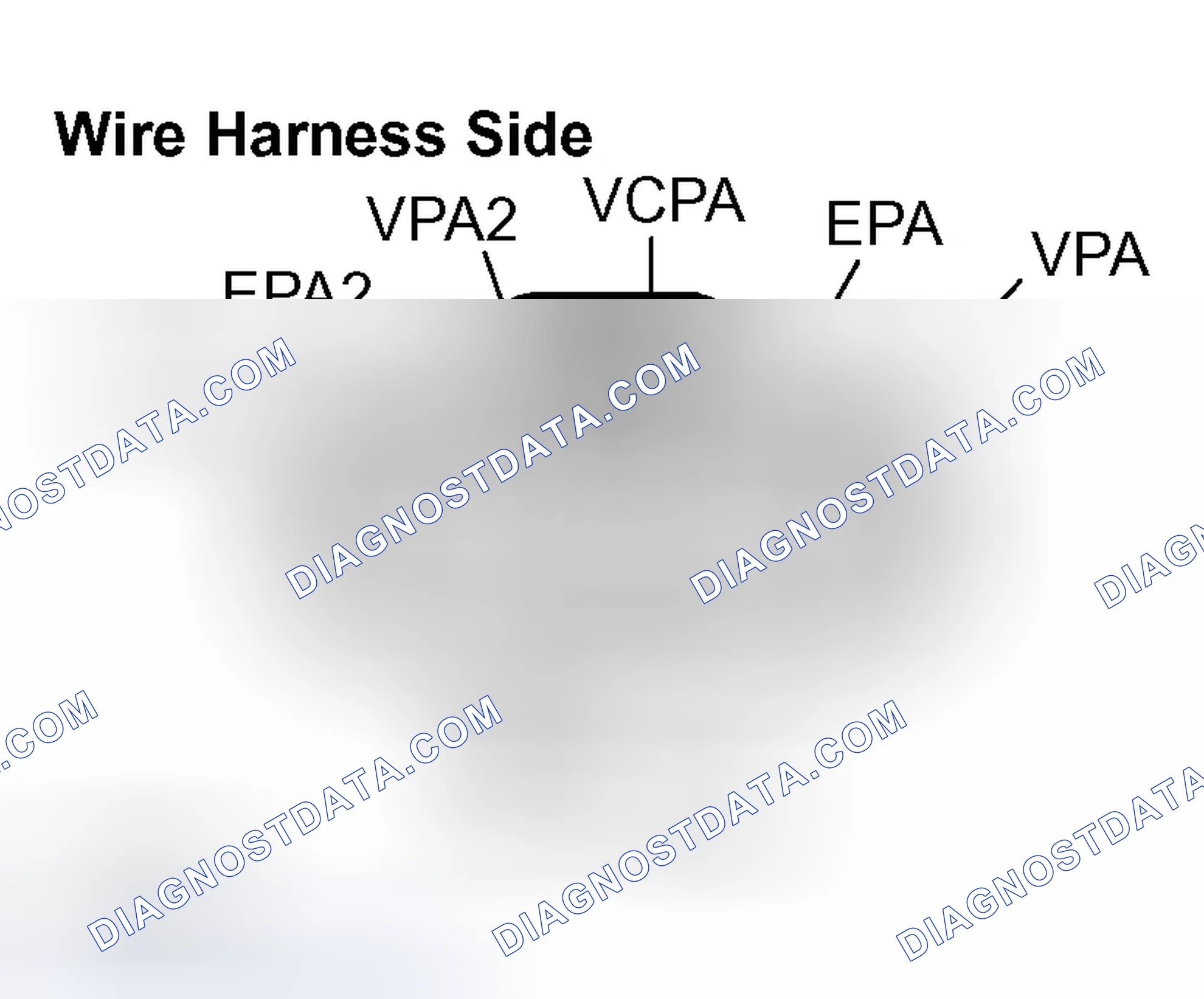 Scheme 514