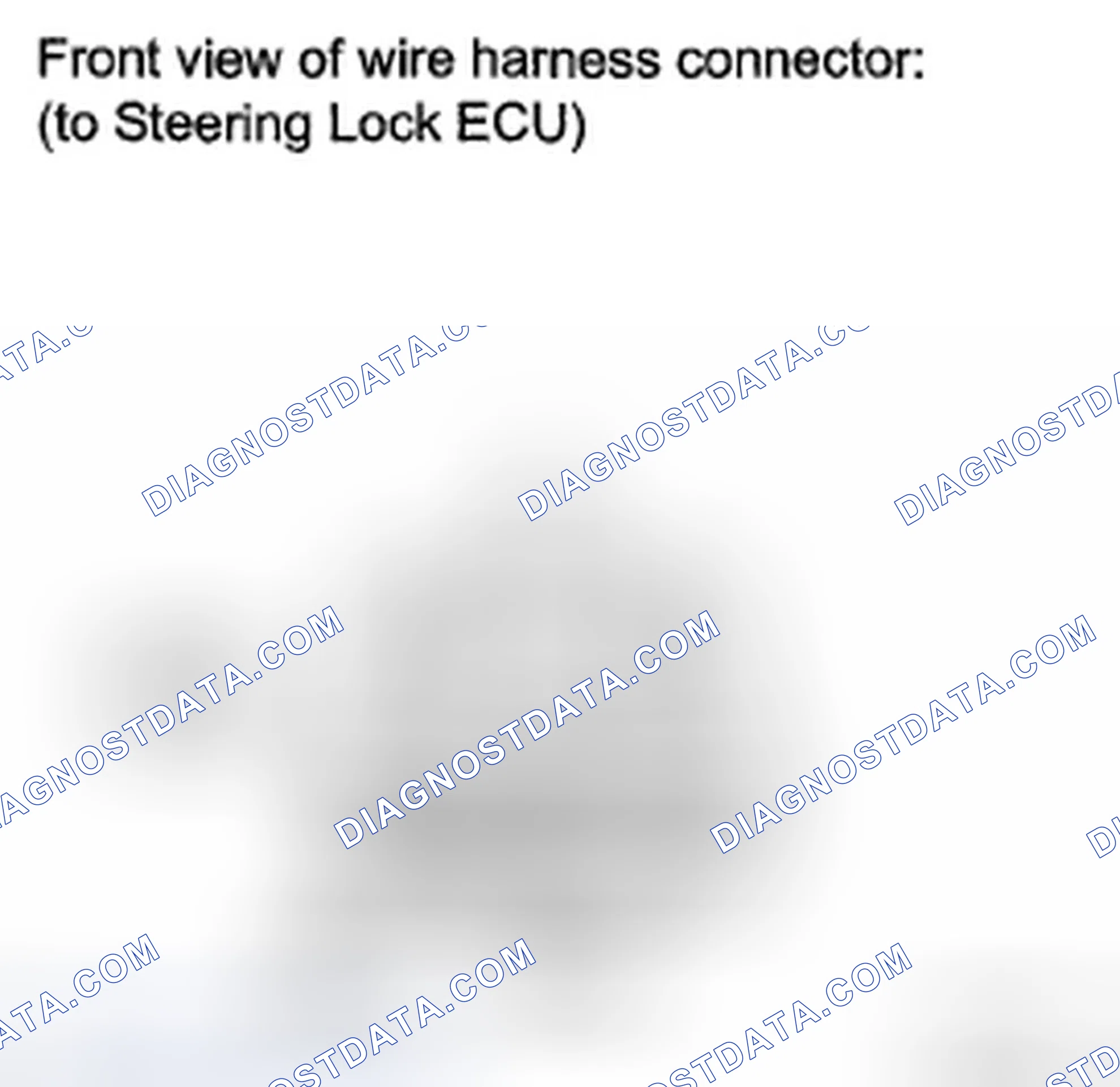 Scheme 12: INSPECTION PROCEDURE